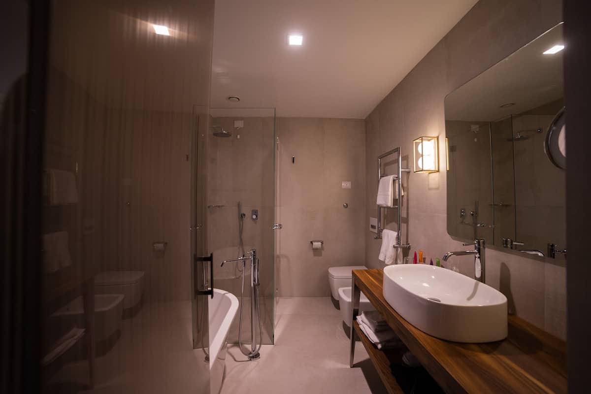 junior suite (deluxe) | bathroom | shower, free toiletries, hair dryer, bidet