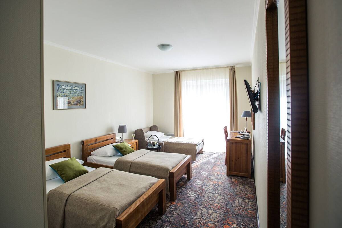 A hotel room with two single beds, a desk, a chair, a television, and a patterned carpet.