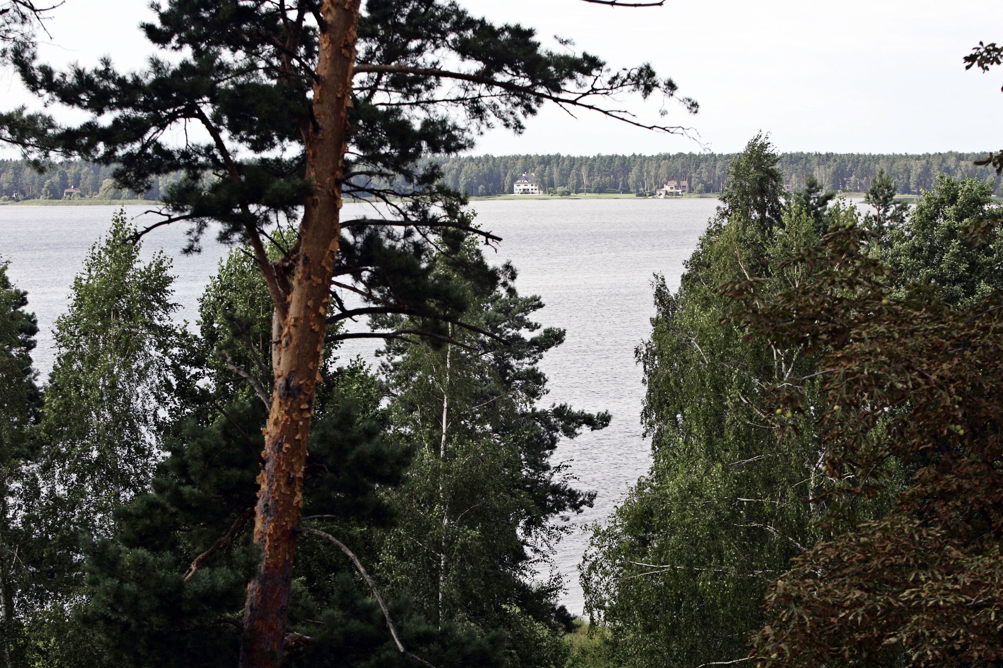 standard double room | garden view