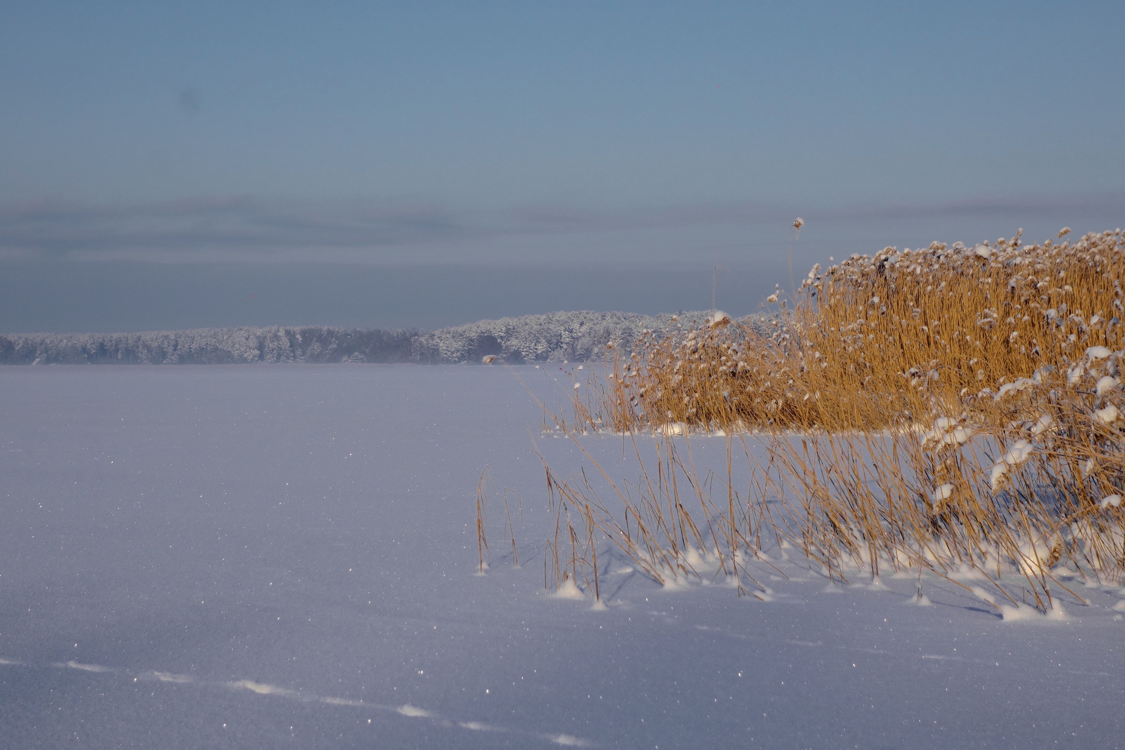 A snowy landscape with a clear sky.
