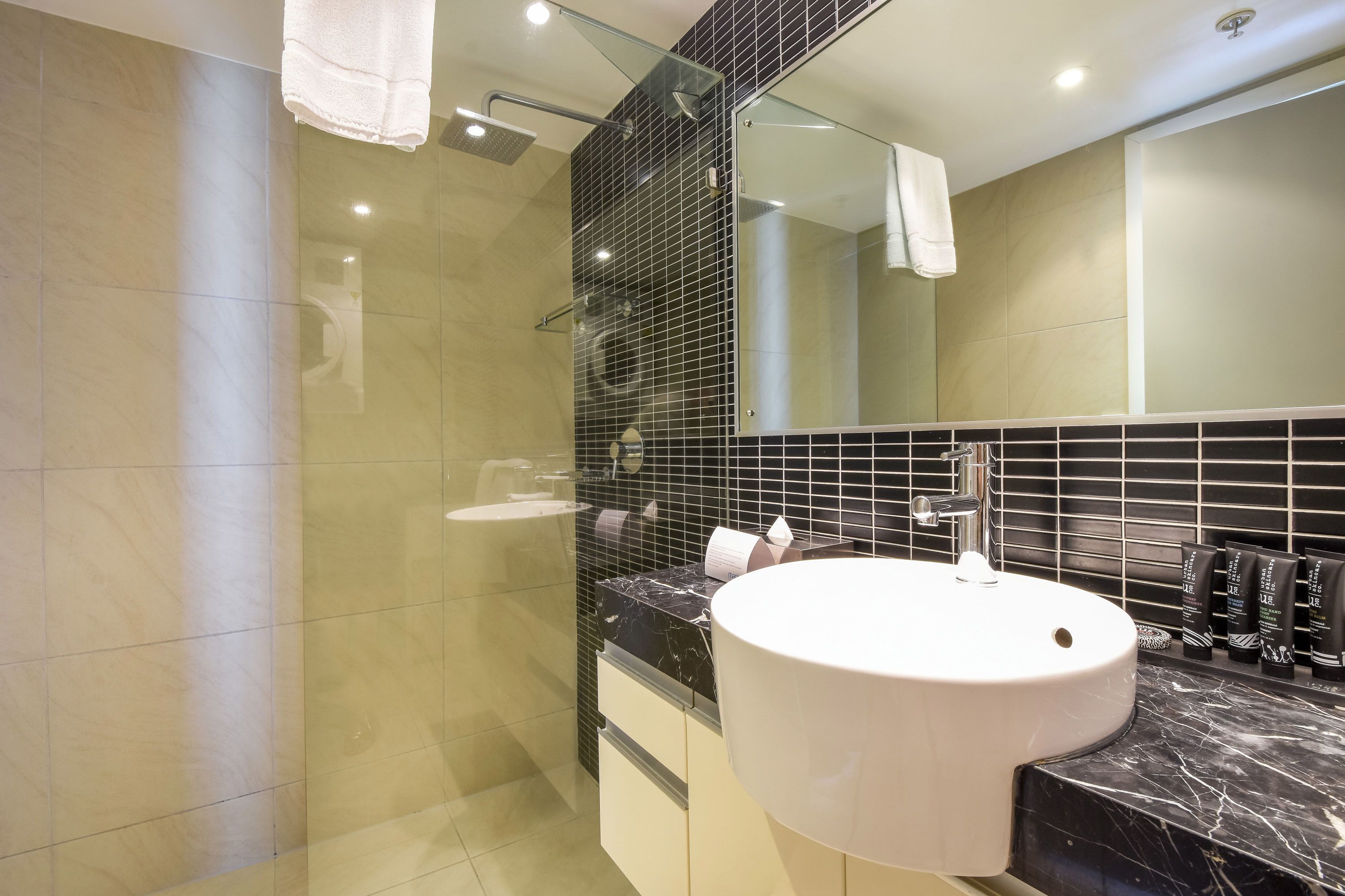 shower, free toiletries, hair dryer, towels