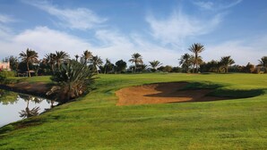 A golf course with a pond, palm trees, and a clear sky.