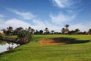 Een golfbaan met een vijver, palmbomen en een heldere lucht.
