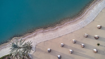 An aerial view of a beach with a palm tree and several sun loungers arranged in rows.
