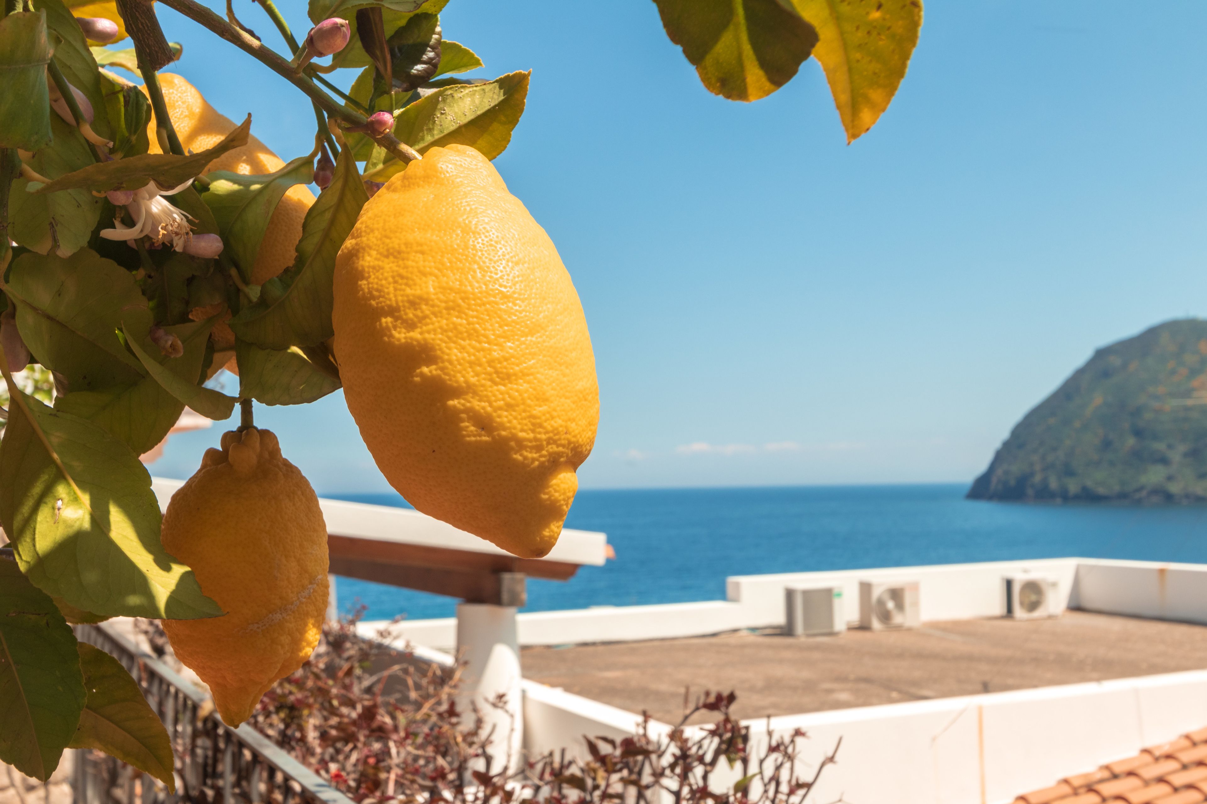 A balcony with a view of the sea and a distant island.
