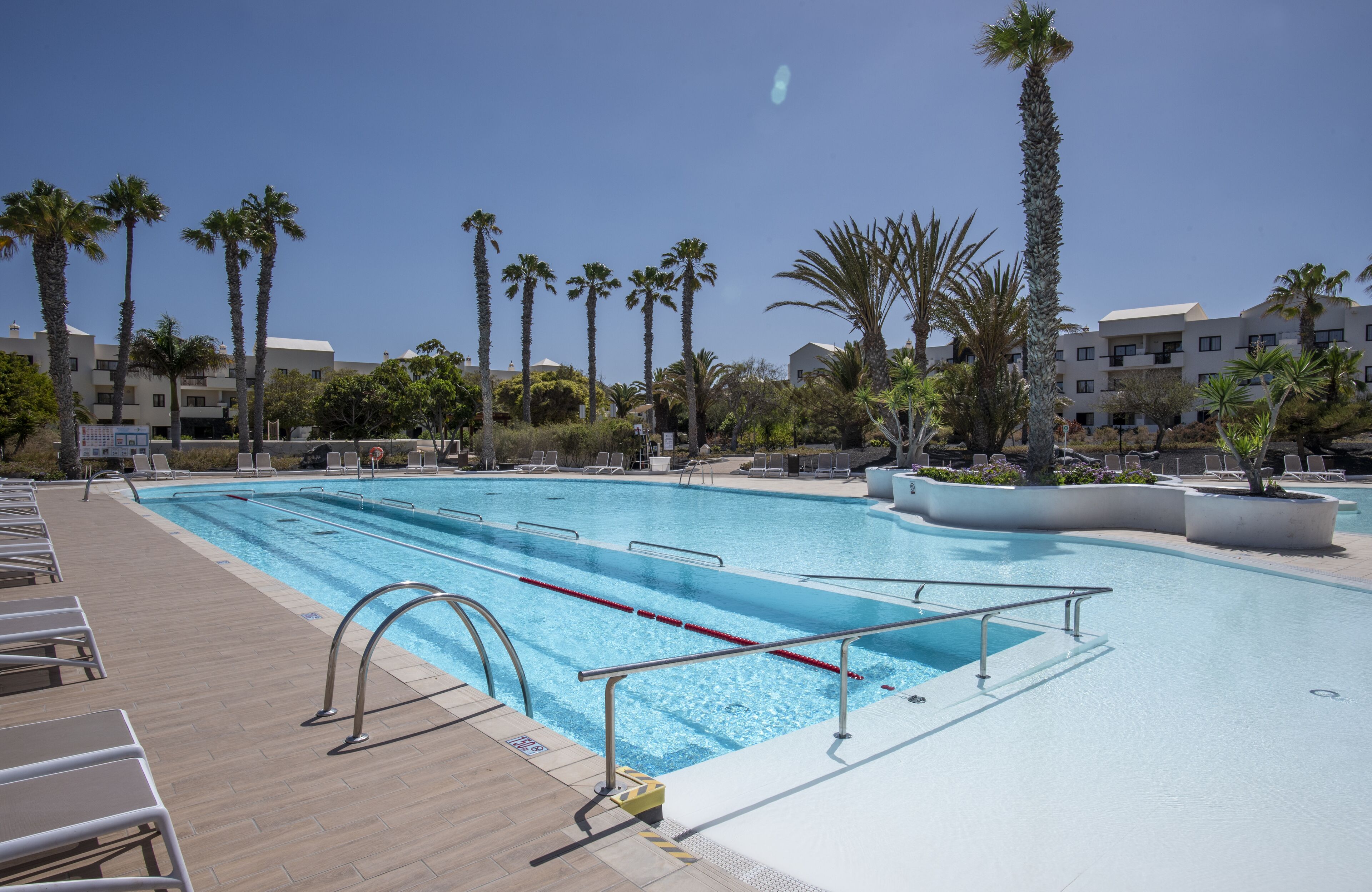 Piscina con varias pistas, rodeada de palmeras y sillas de descanso.