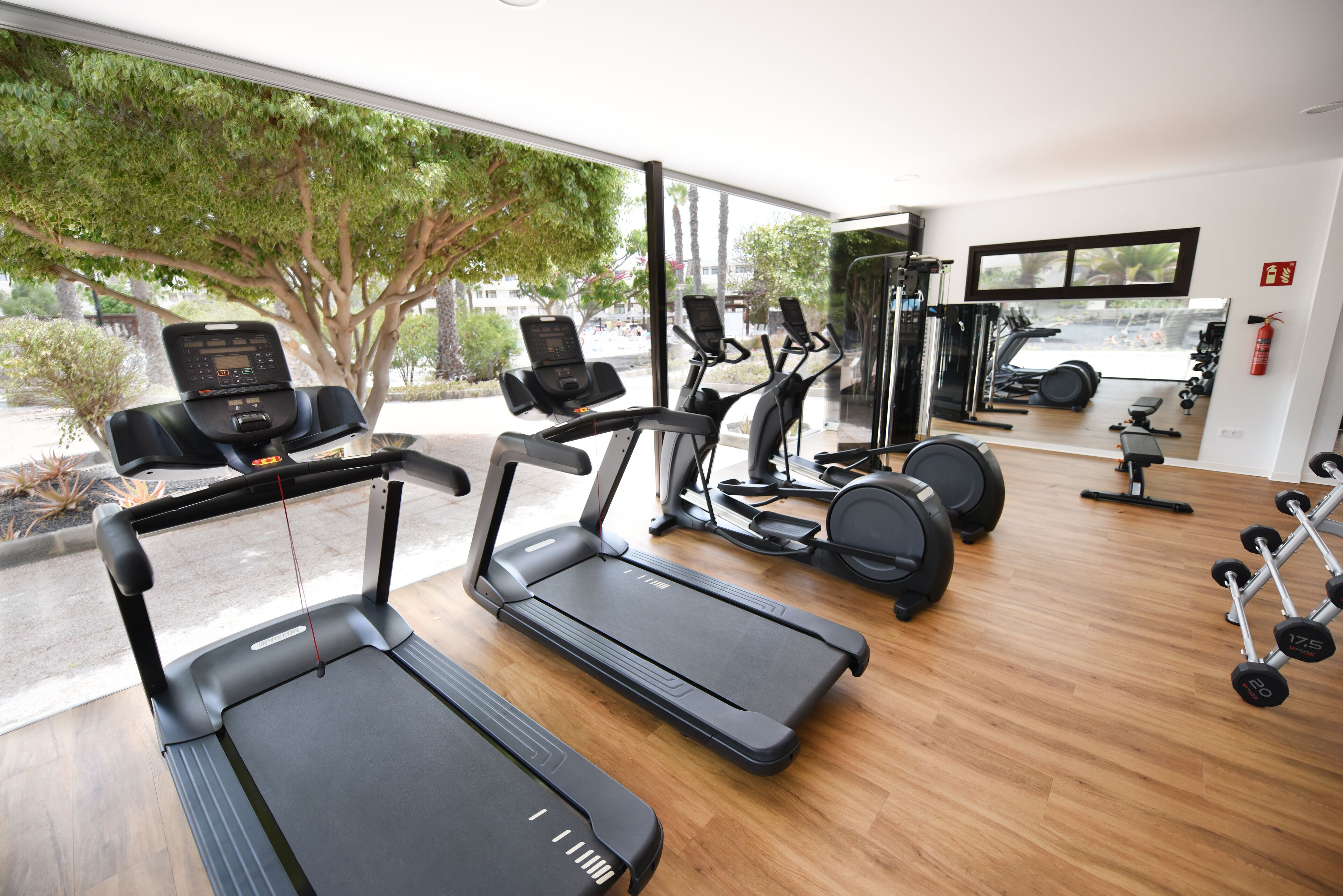 A gym with treadmills, exercise bikes, and free weights.