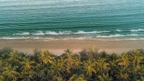 Une plage bordée de palmiers, avec les vagues de l’océan.
