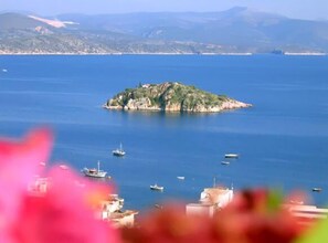 Vue sur la plage/l’océan