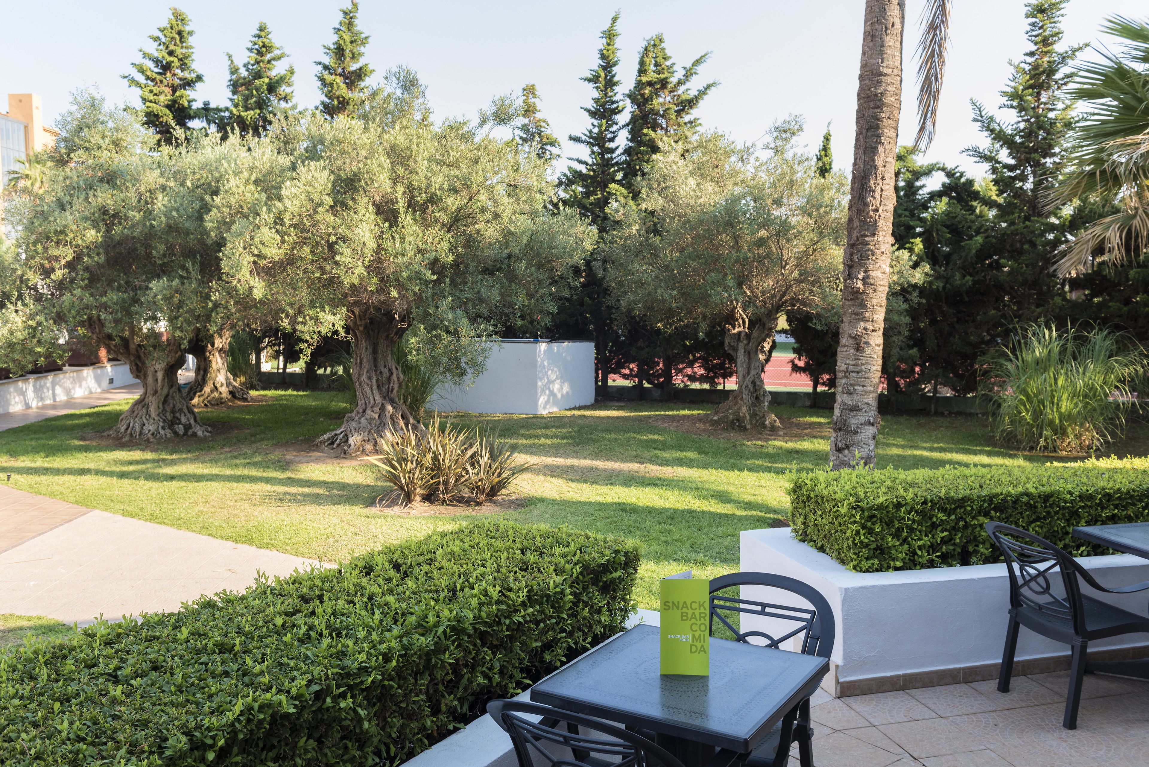 Foto - Cala Millor Garden Hotel - Adults Only