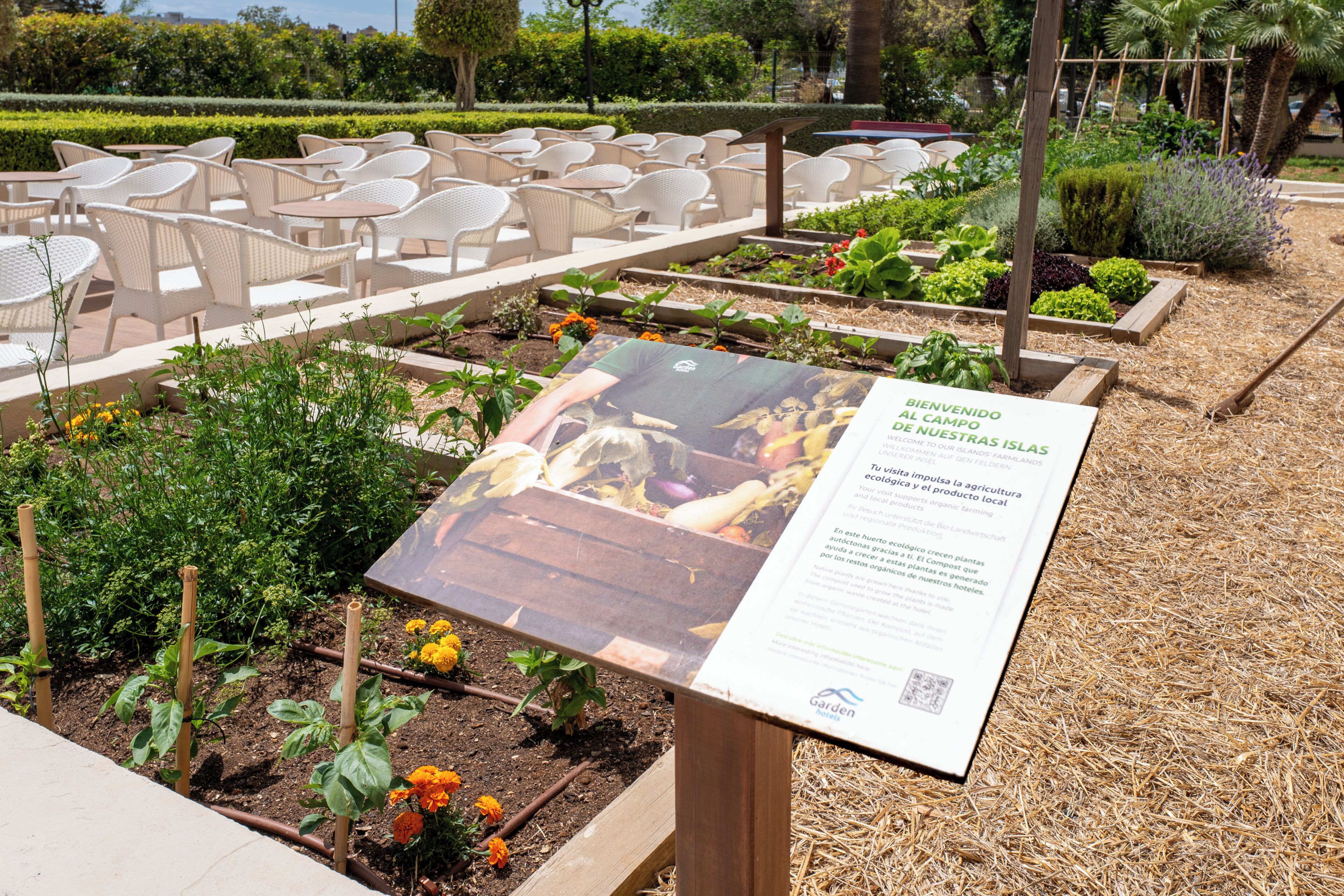 Foto - Cala Millor Garden, Adults Only