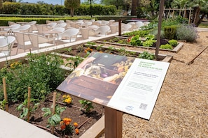 Un jardin avec des plates-bandes surélevées, un panneau d’information et des sièges extérieurs.