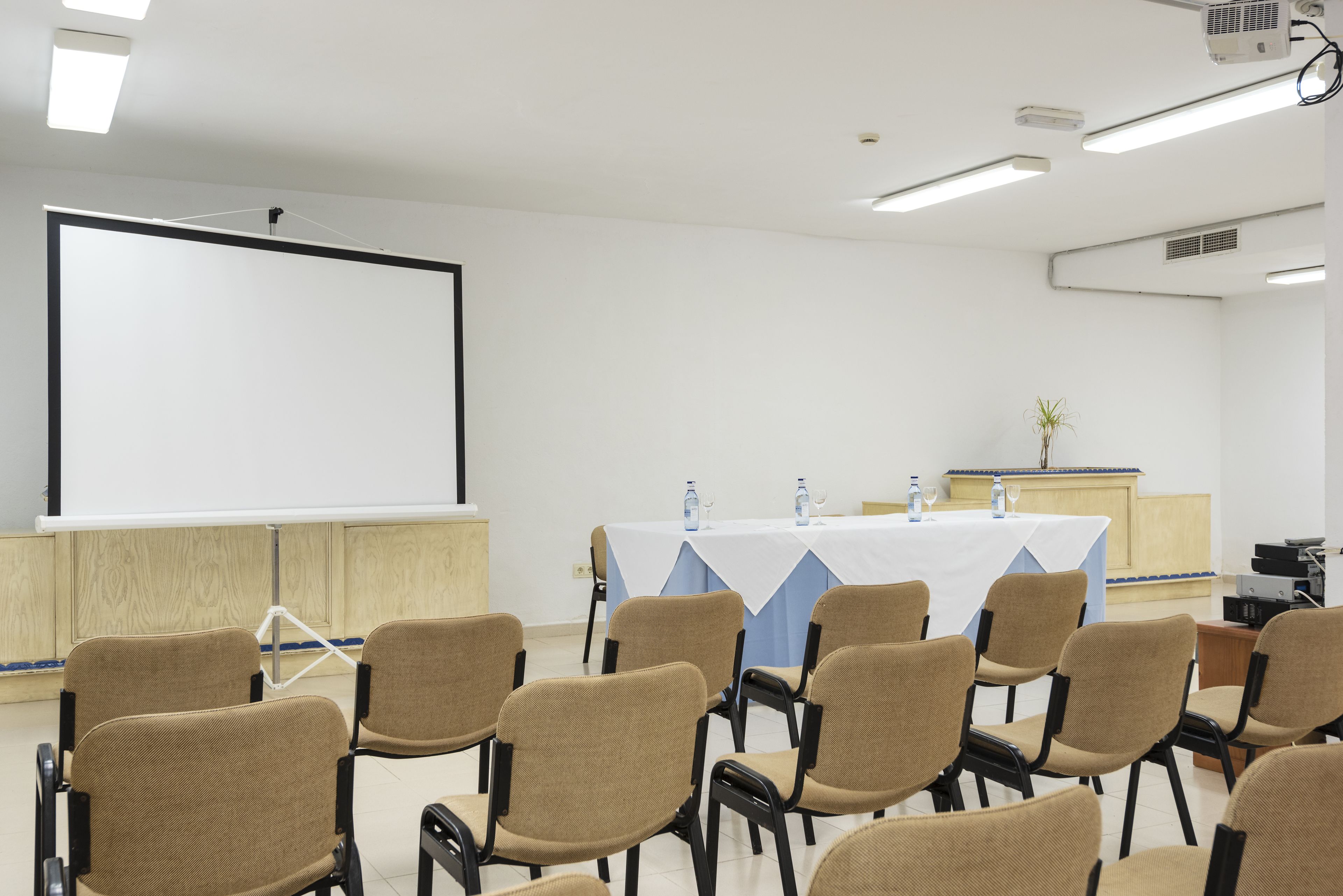 Une salle de conférence avec des chaises de couleur beige, un écran de projection blanc, une table recouverte d’une nappe bleue et une petite plante.