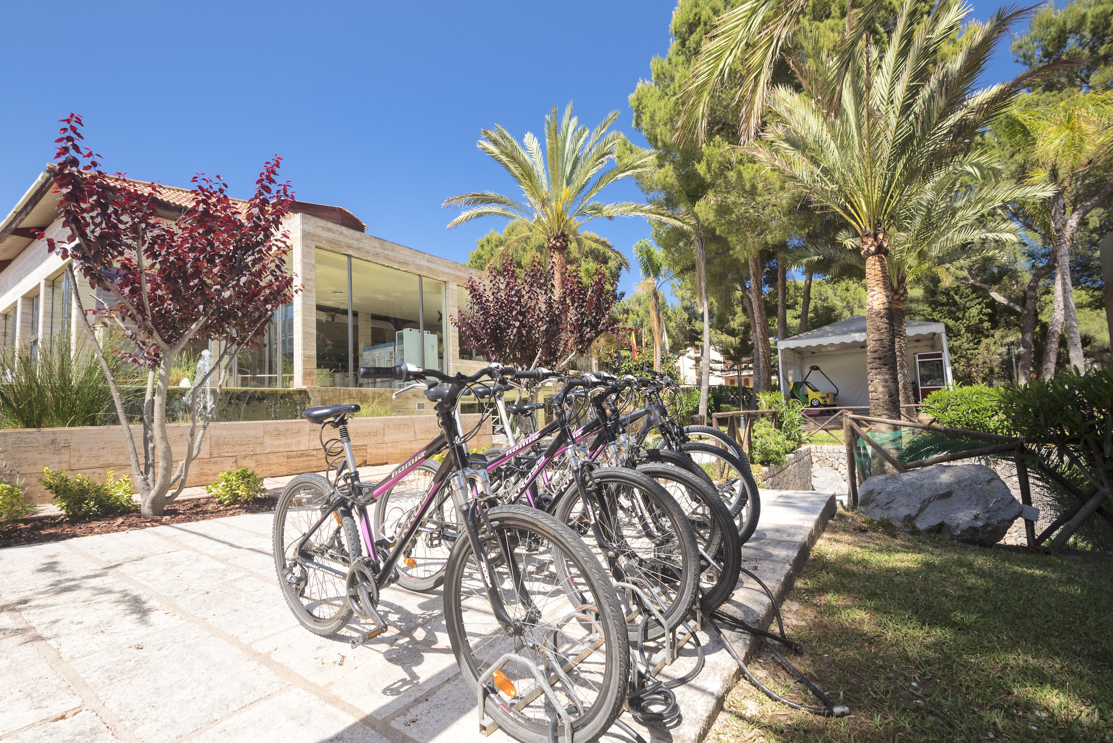 Une rangée de vélos est garée devant un bâtiment moderne doté de grandes fenêtres et d’une façade en pierre.