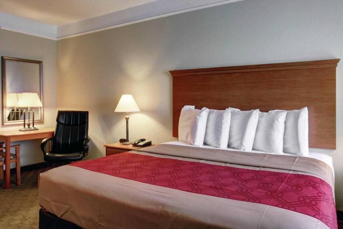 A hotel room with a bed, a desk, a chair, a nightstand with a lamp, and a telephone.