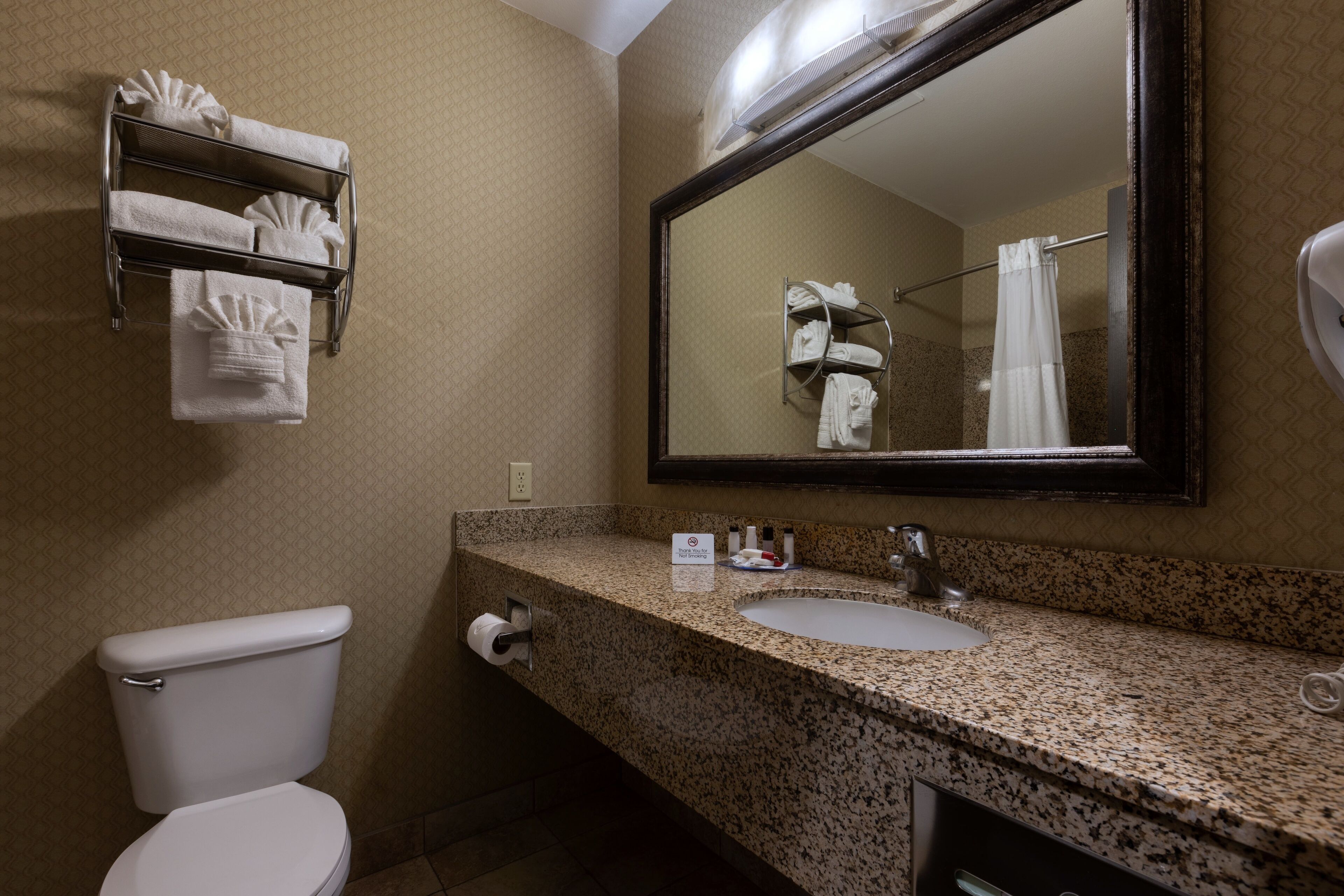 A bathroom with a toilet, sink, and towel rack.