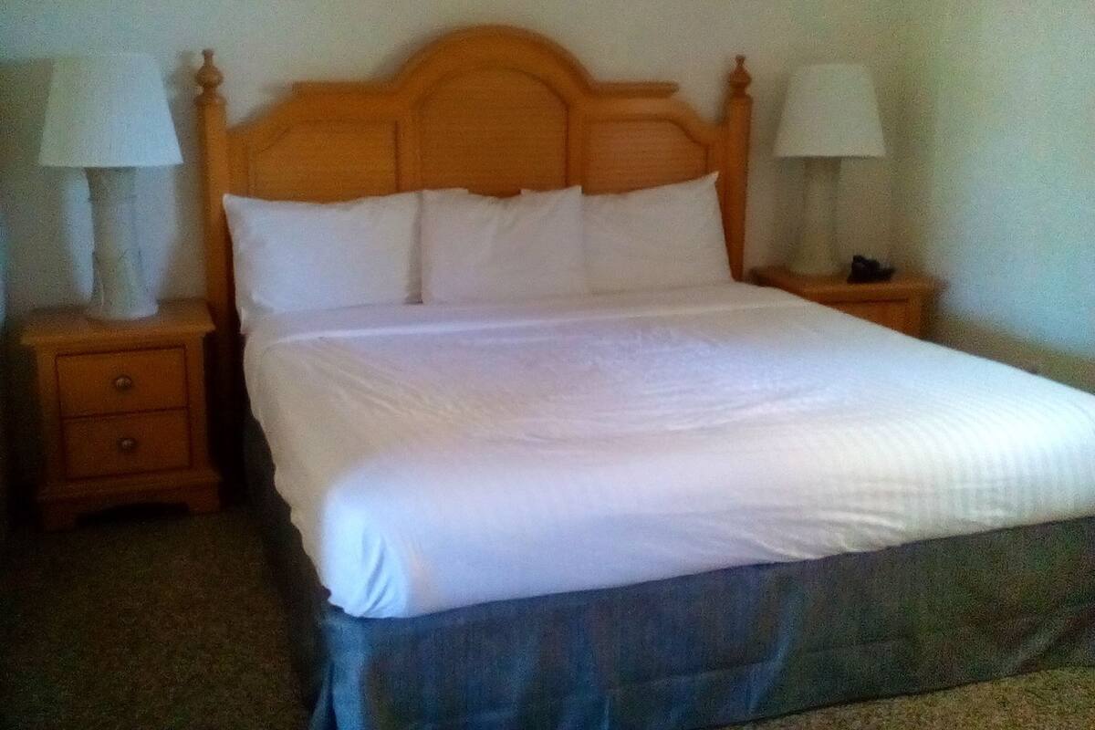 Garden View Apartment - Pet Friendly | Premium bedding, iron/ironing board, WiFi (free), individually decorated