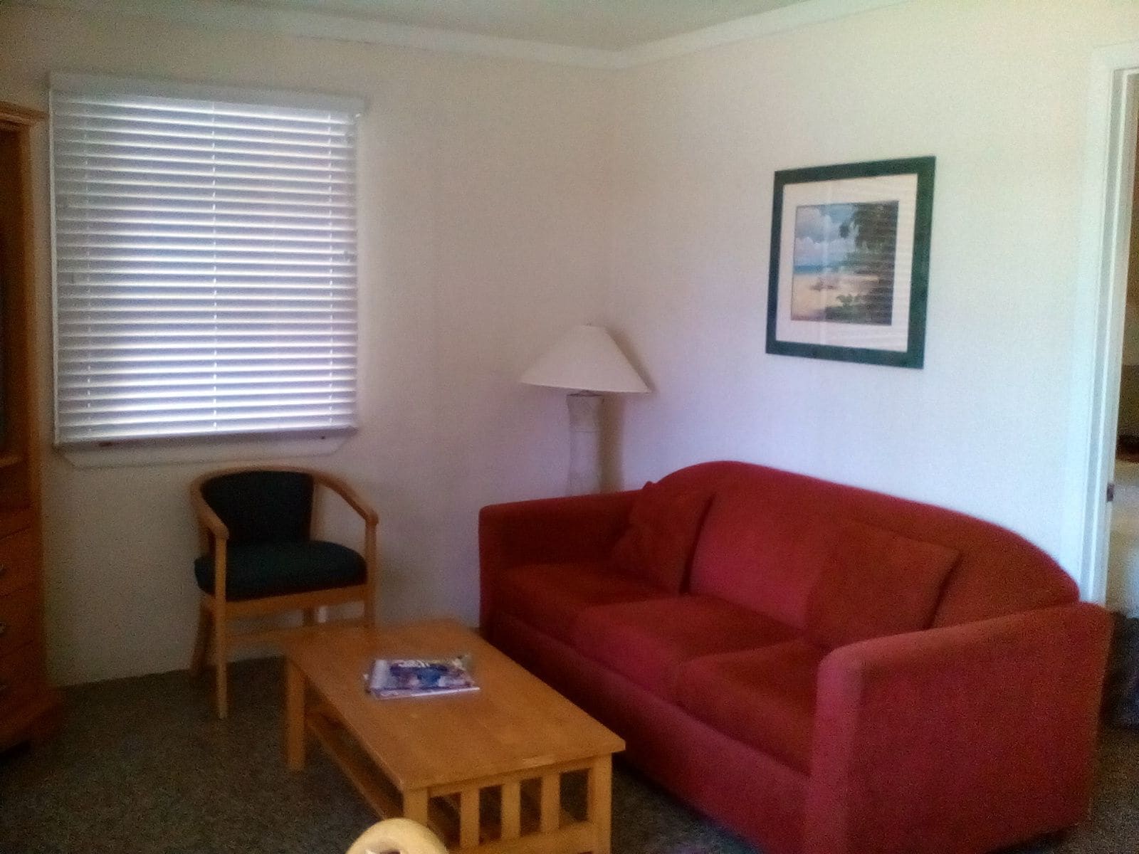 garden view apartment - pet friendly | living room | 40-inch flat-screen tv with cable channels, tv