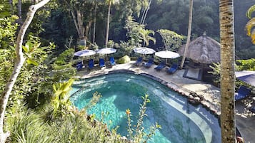 Outdoor pool, sun loungers