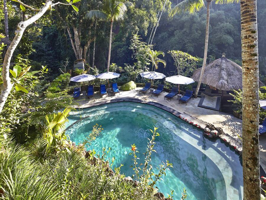 Outdoor pool, pool loungers