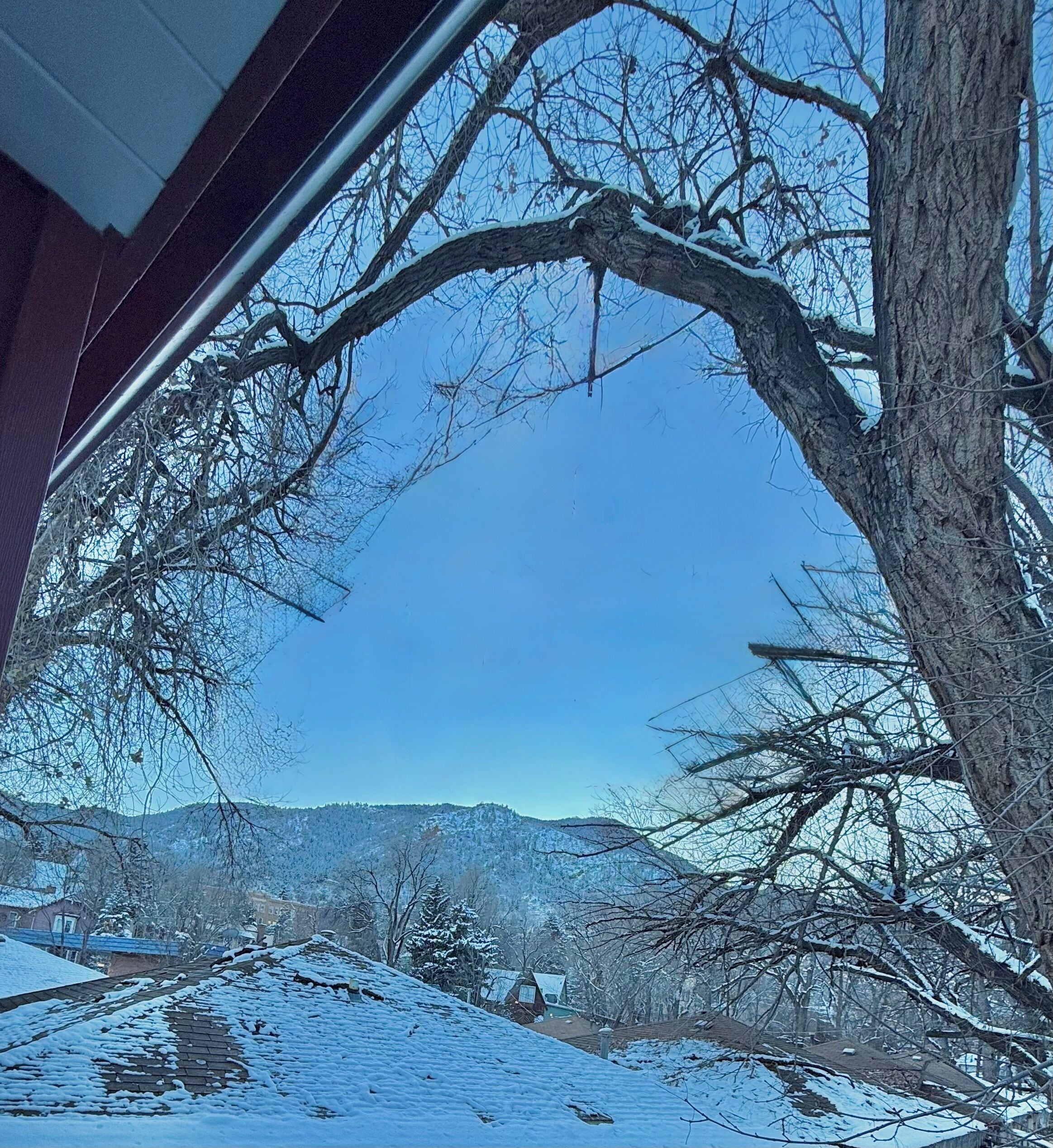A snow-covered landscape with a clear sky, a tree in the foreground, and a distant view of a house and mountains.