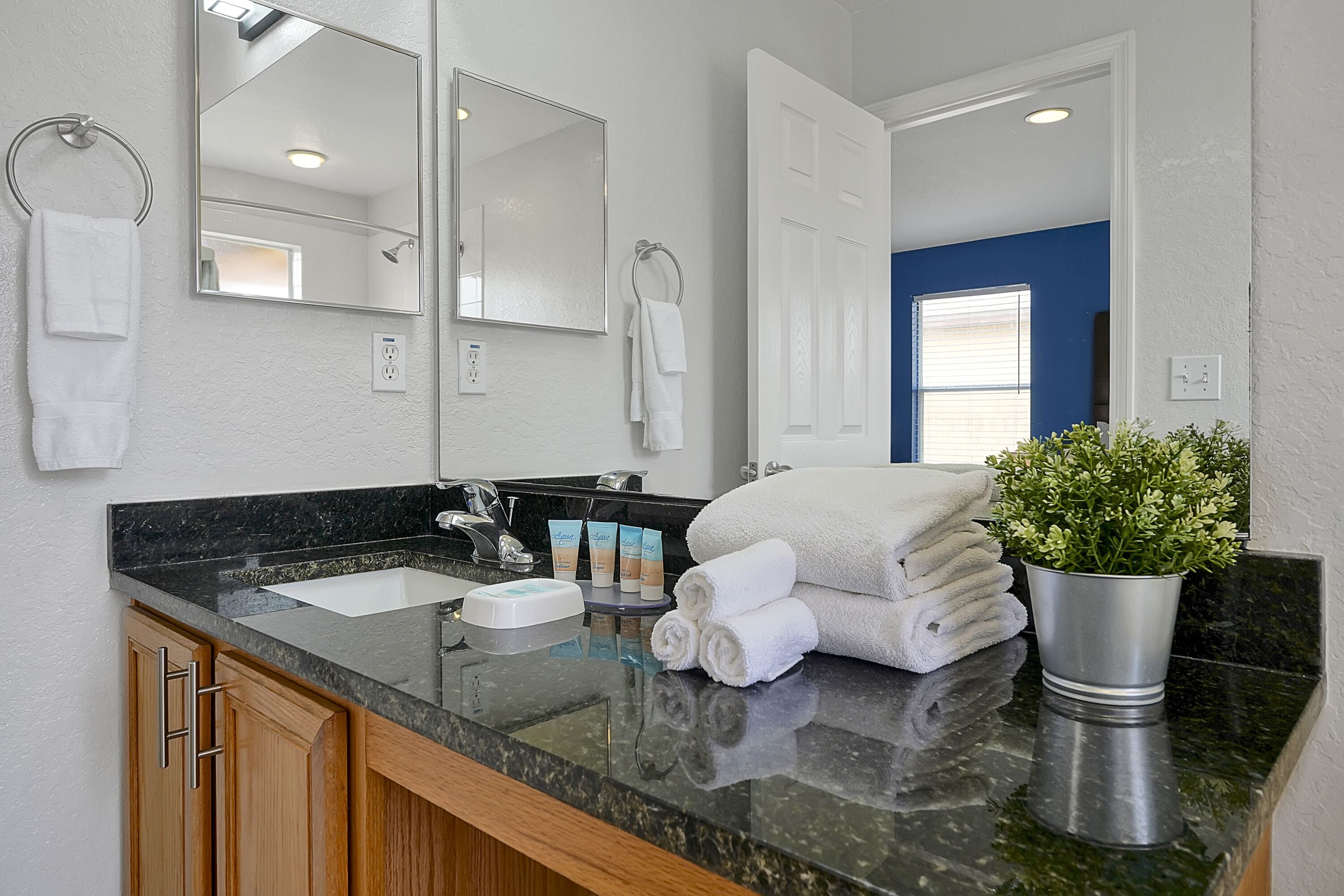 A bathroom with a black granite countertop, two sinks, a mirror, and a potted plant.