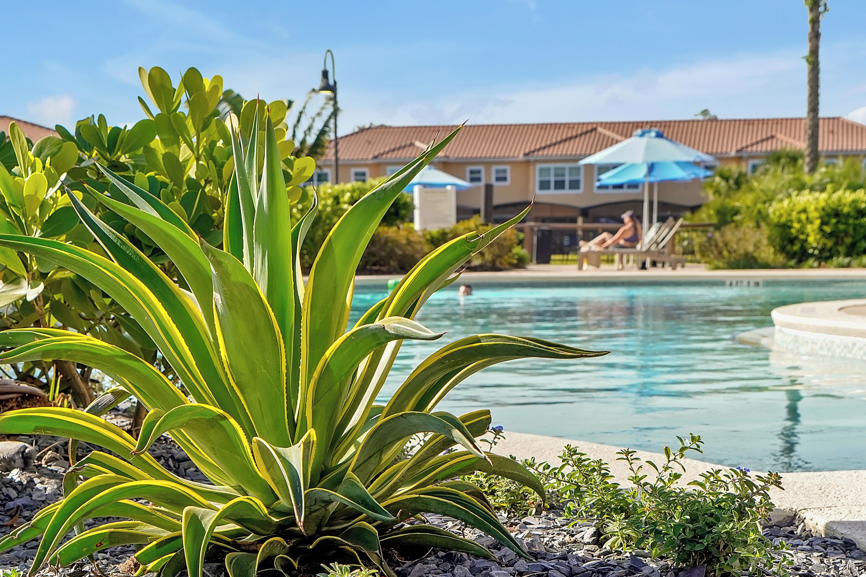 A pool area with a house in the background, surrounded by greenery.