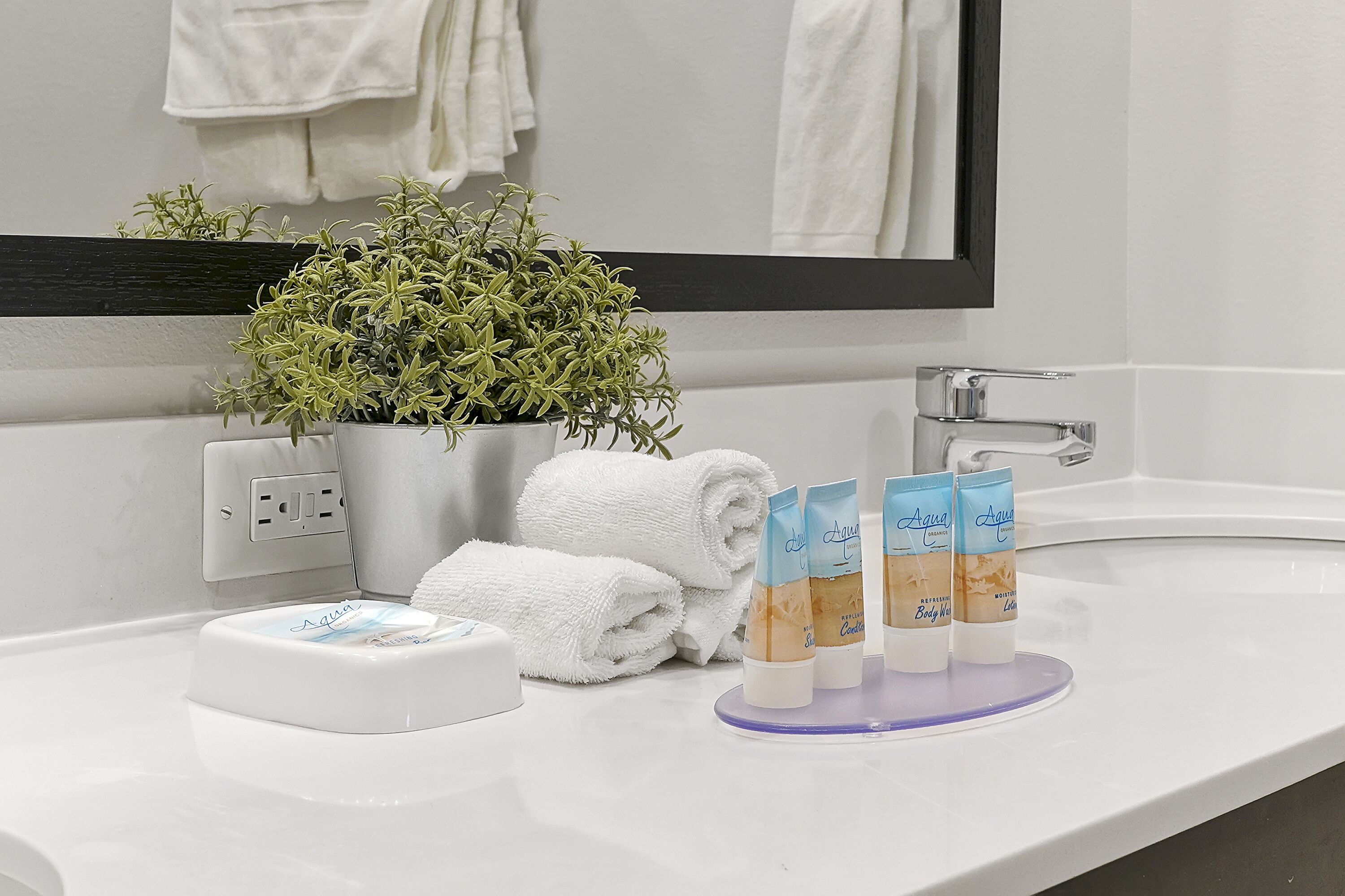 A bathroom with a white sink, a potted plant, rolled towels, and three Aqua brand body wash bottles on a purple tray.