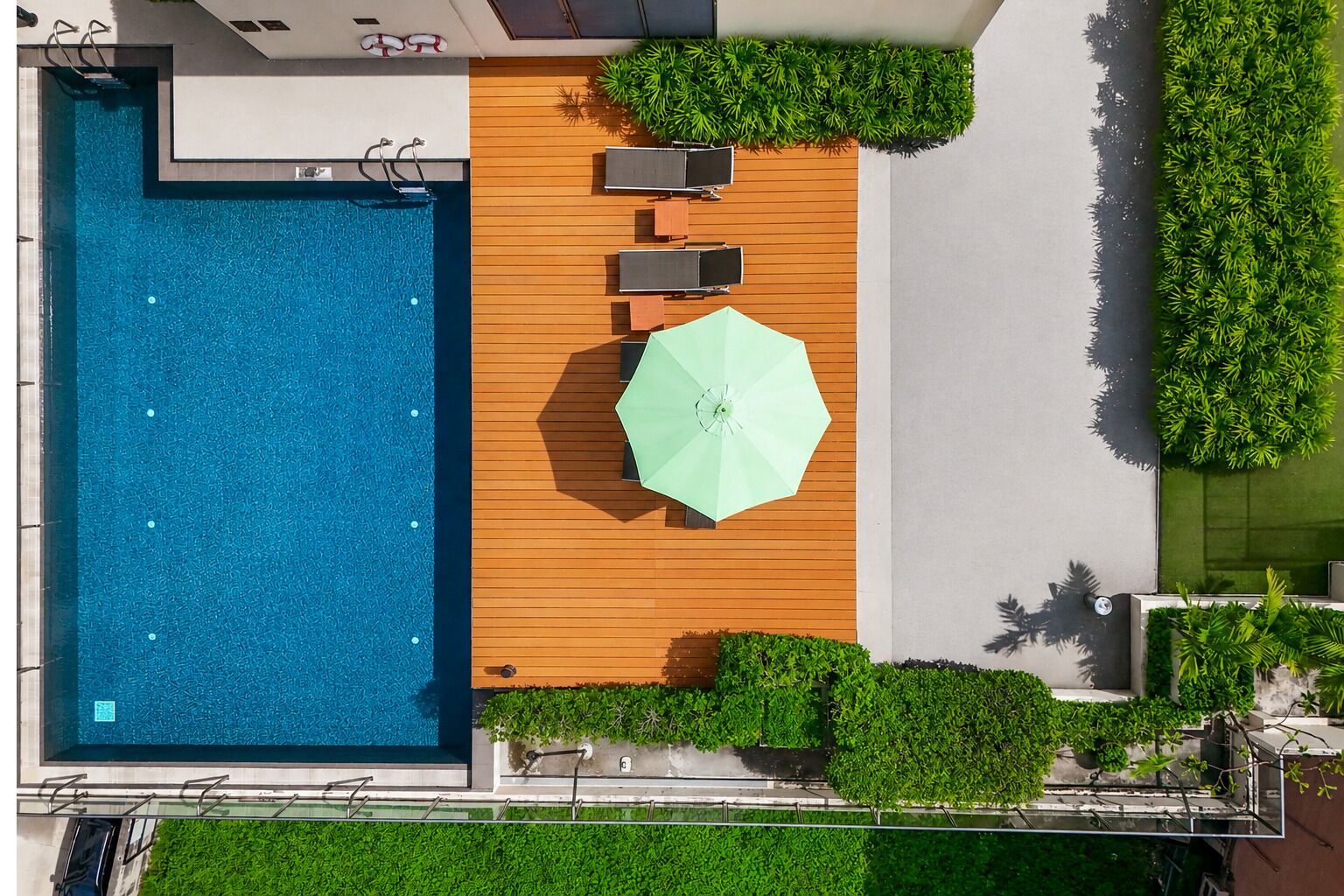 Outdoor pool, pool loungers