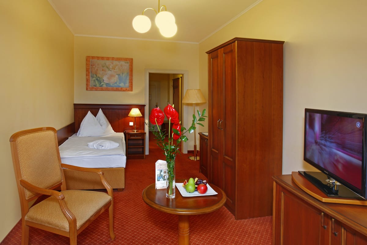 Single Room with Wellness and Fitness Access | Hypo-allergenic bedding, minibar, in-room safe, desk