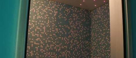 A room with a patterned carpet and a ceiling with small lights.