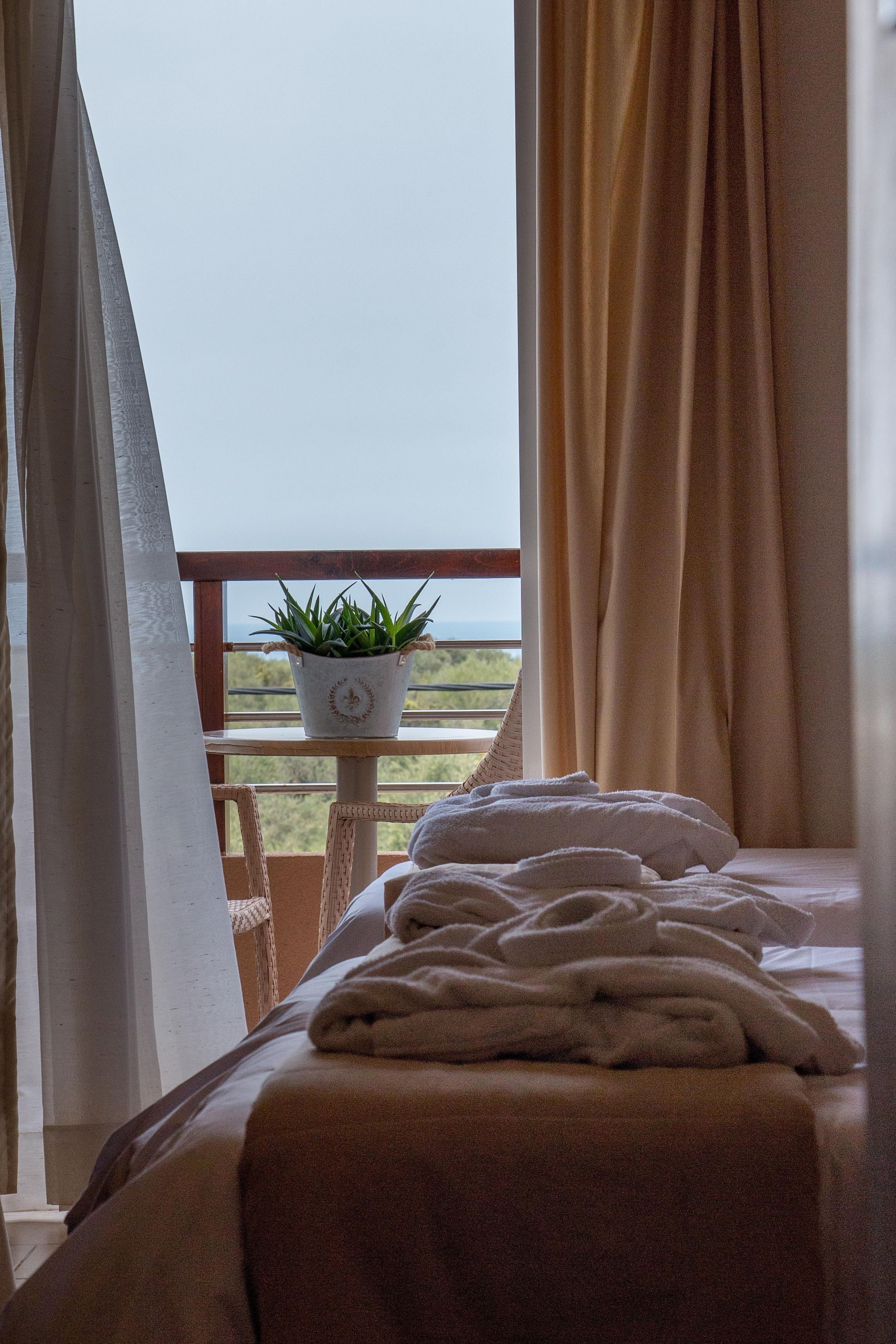 Un dormitorio con cama, una planta en maceta y vistas al exterior.