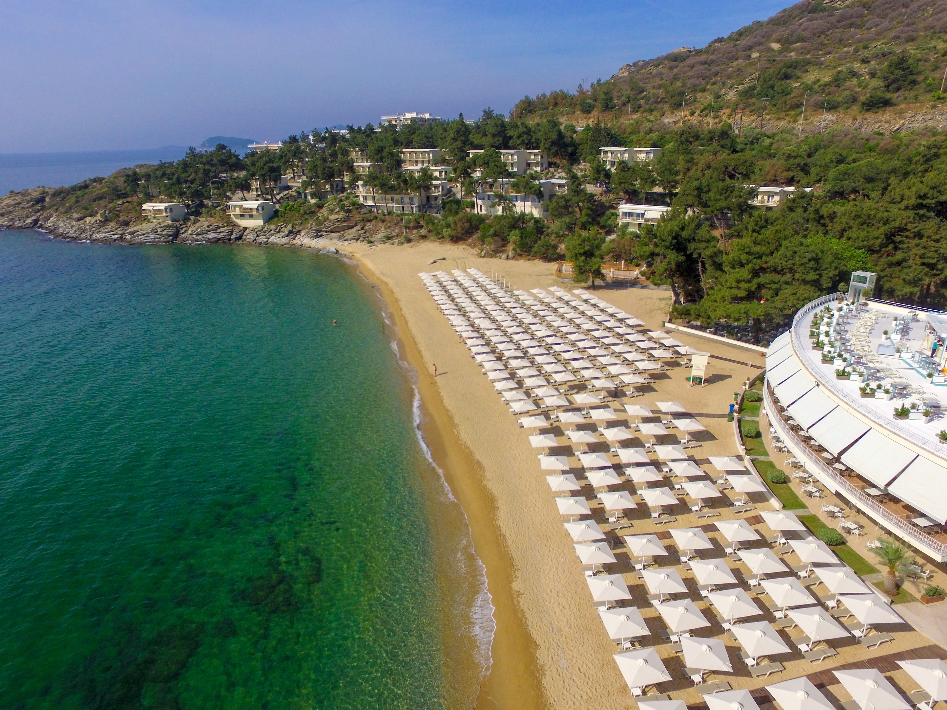 A beach with rows of white umbrellas and lounge chairs, a clear blue sea, and buildings in the background.