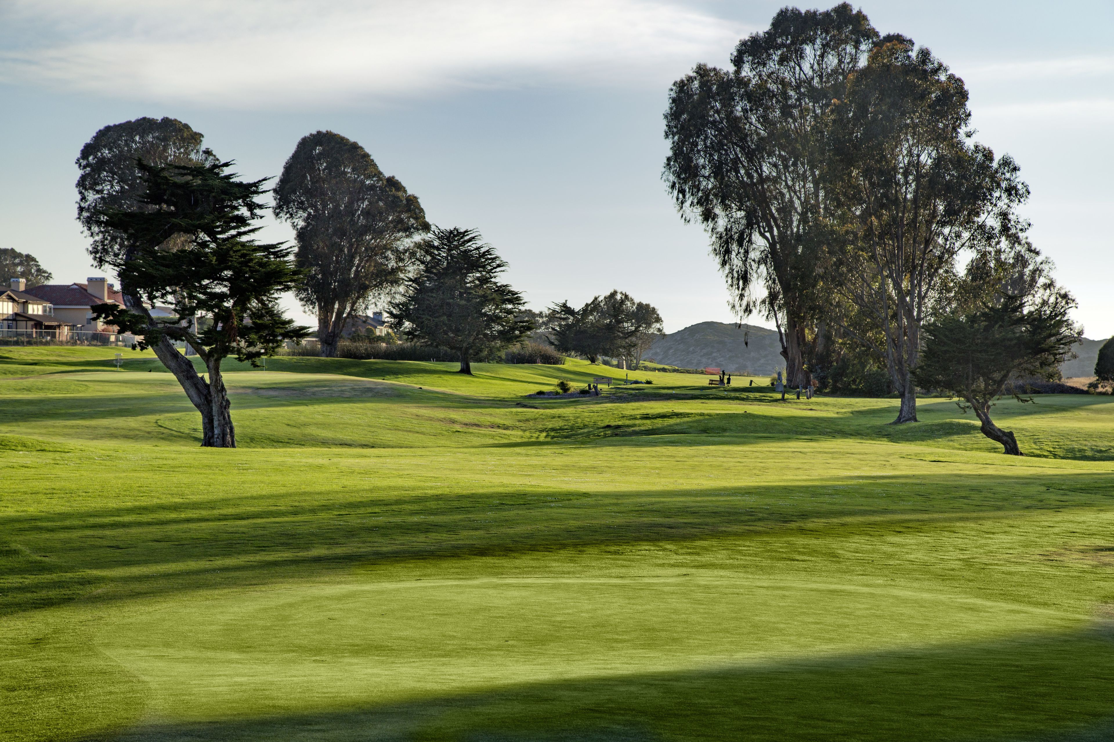 Un campo de golf con césped cuidado, varios árboles y un edificio a lo lejos.
