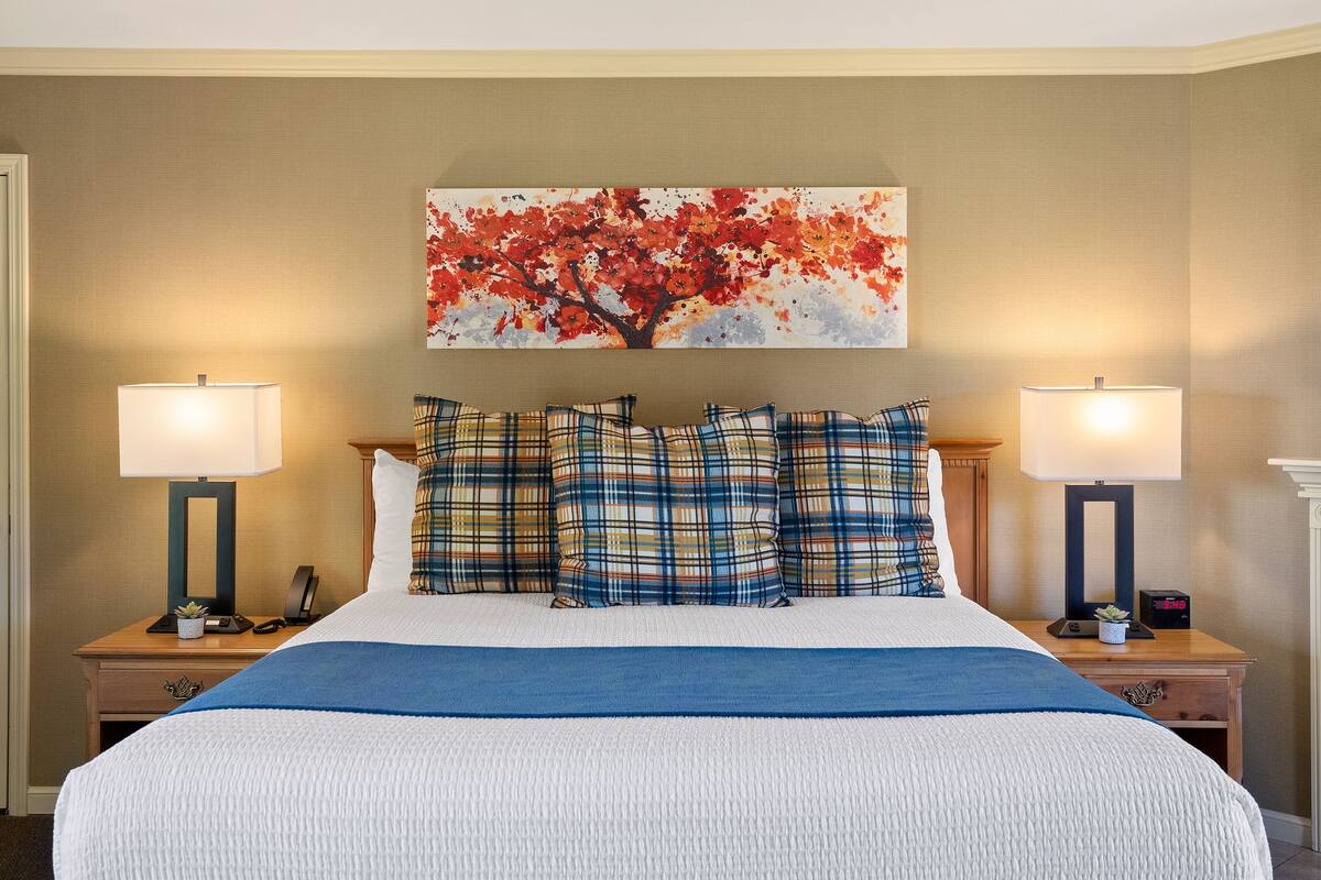 A hotel room with a large bed, plaid pillows, a blue throw blanket, a painting of a tree, two bedside lamps, and a nightstand with a phone and a small plant.