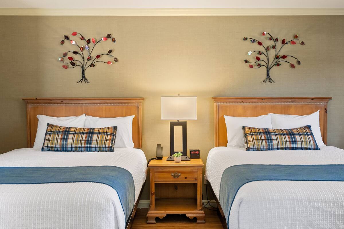 A hotel room with two beds, each with a plaid pillow and a white comforter. There is a nightstand between the beds with a lamp and a small plant.