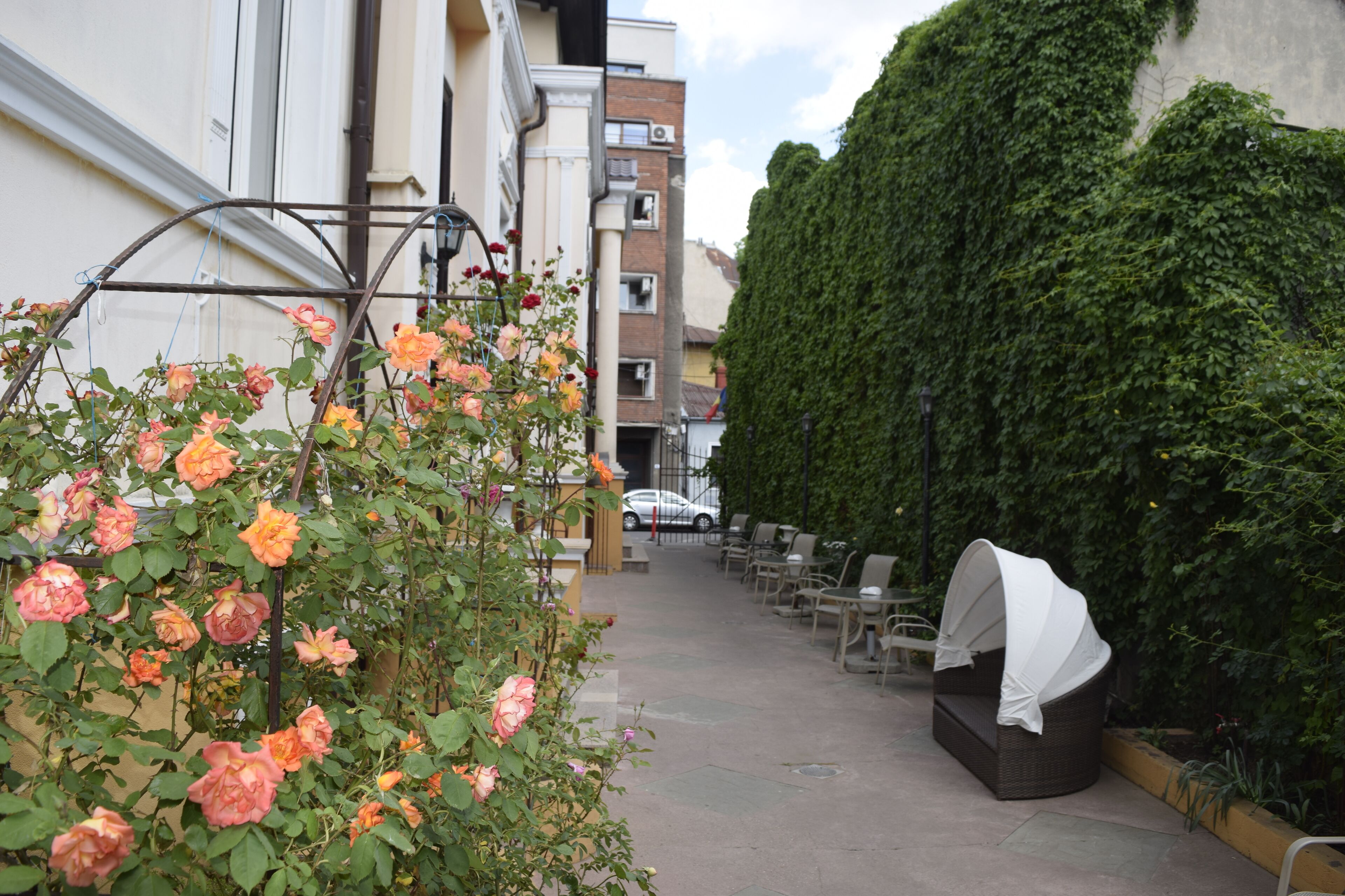 テラス / パティオ