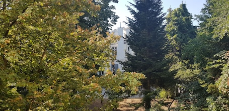 Vista al jardín. Hotel Michelangelo