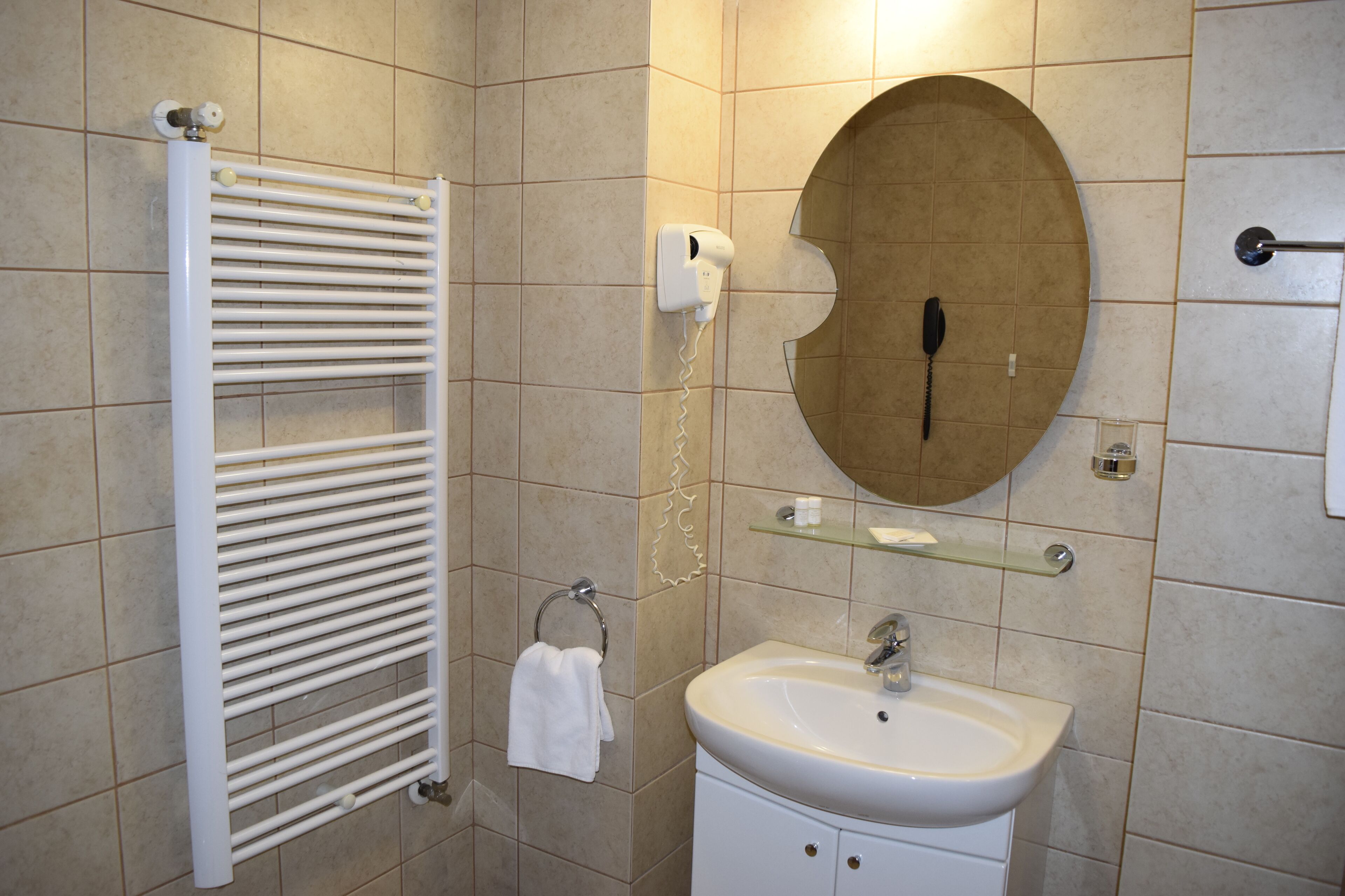 shower, hair dryer, bidet, towels