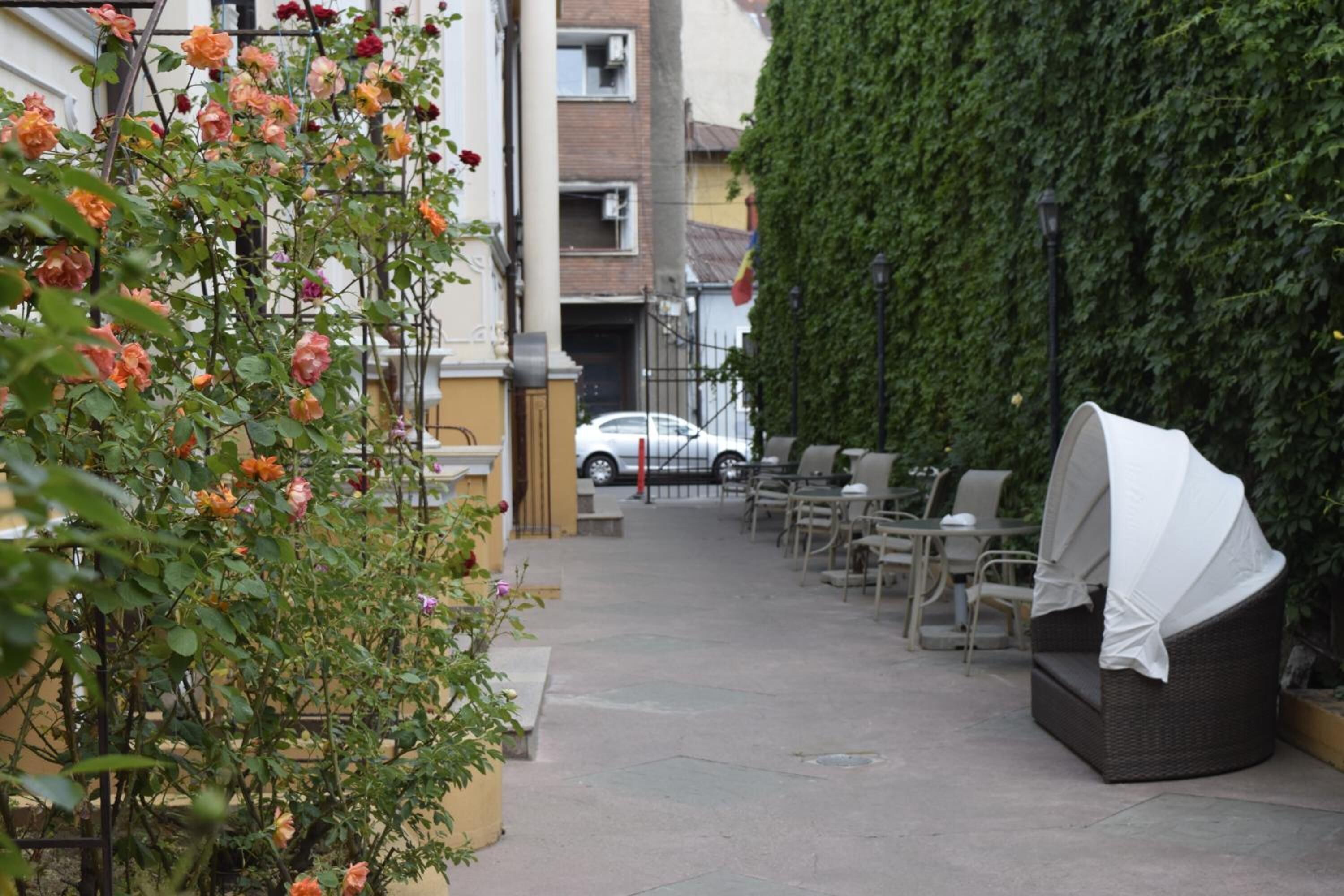 Photo - Hotel Michelangelo