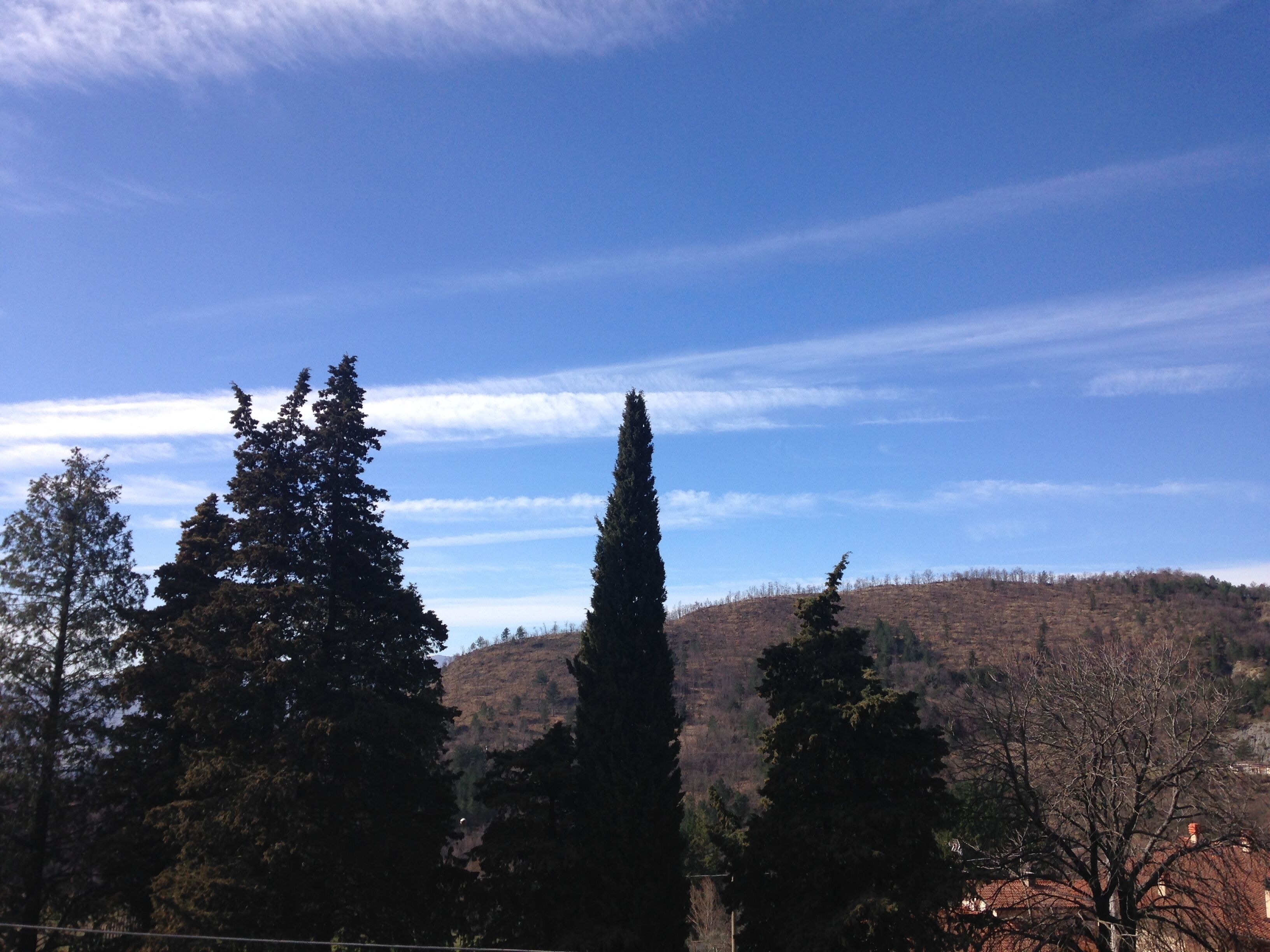 suite | mountain view