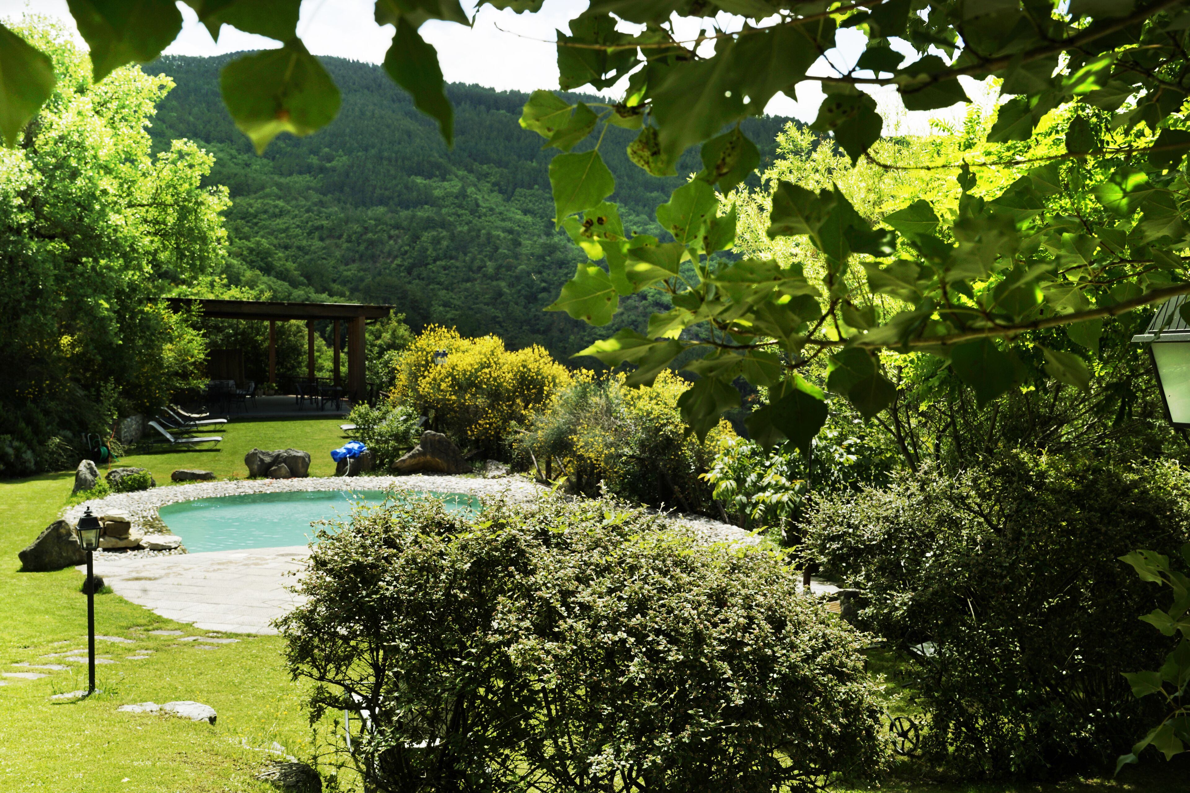 Un jardín con piscina, rodeado de abundante vegetación y una pérgola de madera.