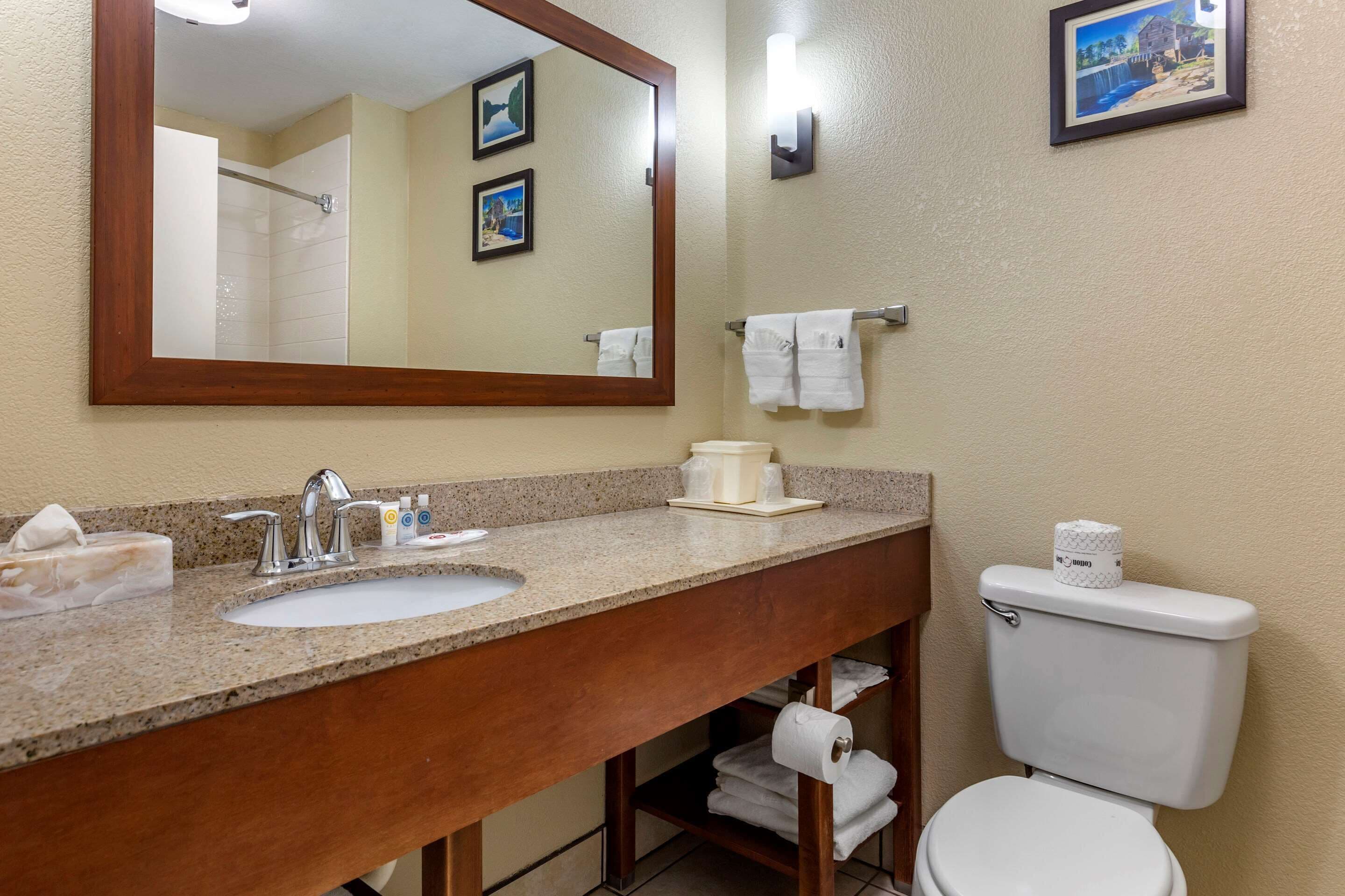 suite, non smoking | bathroom | combined shower/bathtub, free toiletries, hair dryer, towels