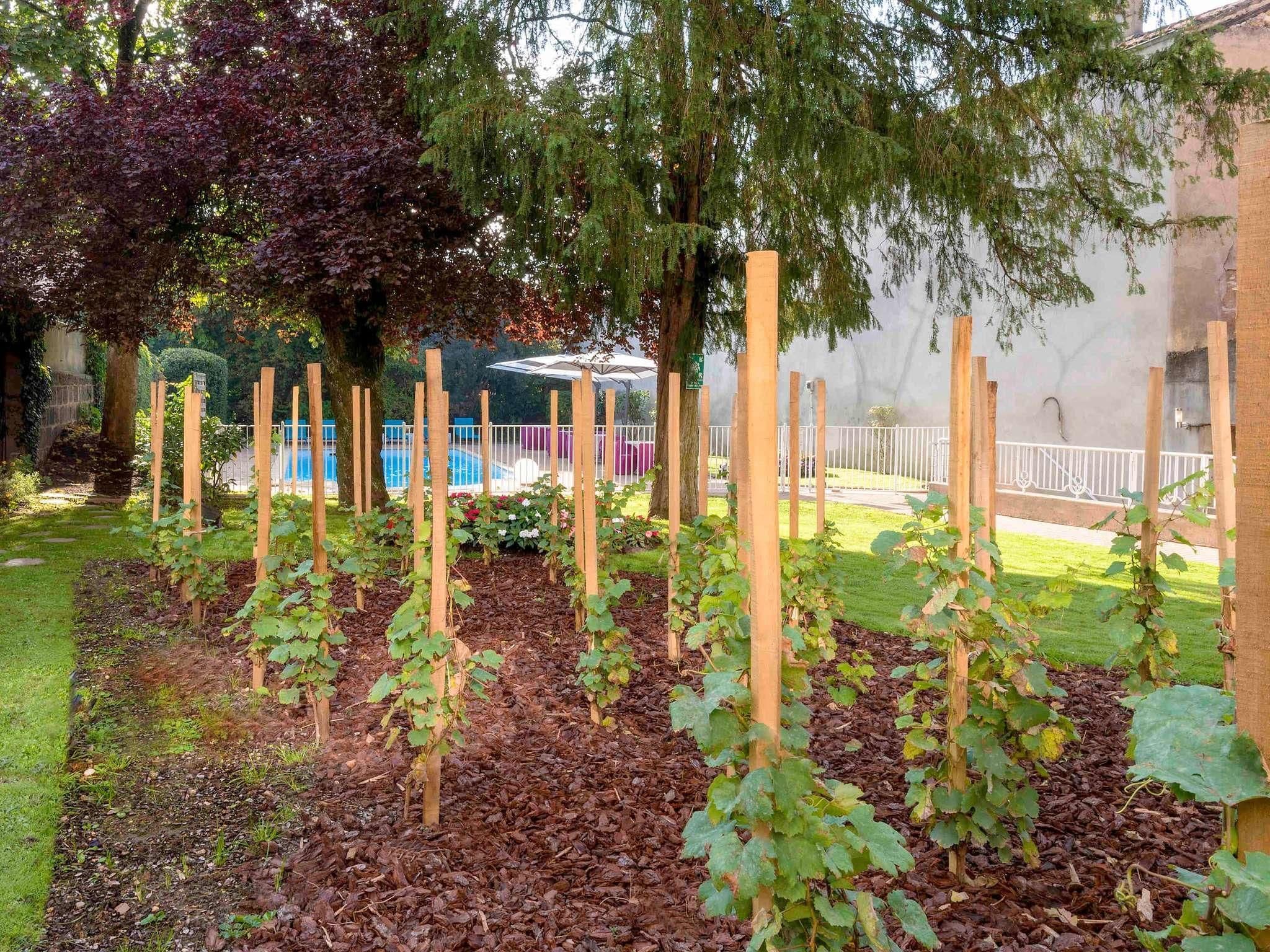 Un jardín con parras sostenidas por estacas de madera, una piscina y una zona de estar cubierta.