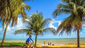 A beach scene with palm trees, a cyclist, and people on the sand. - Ibis Joao Pessoa (João Pessoa)