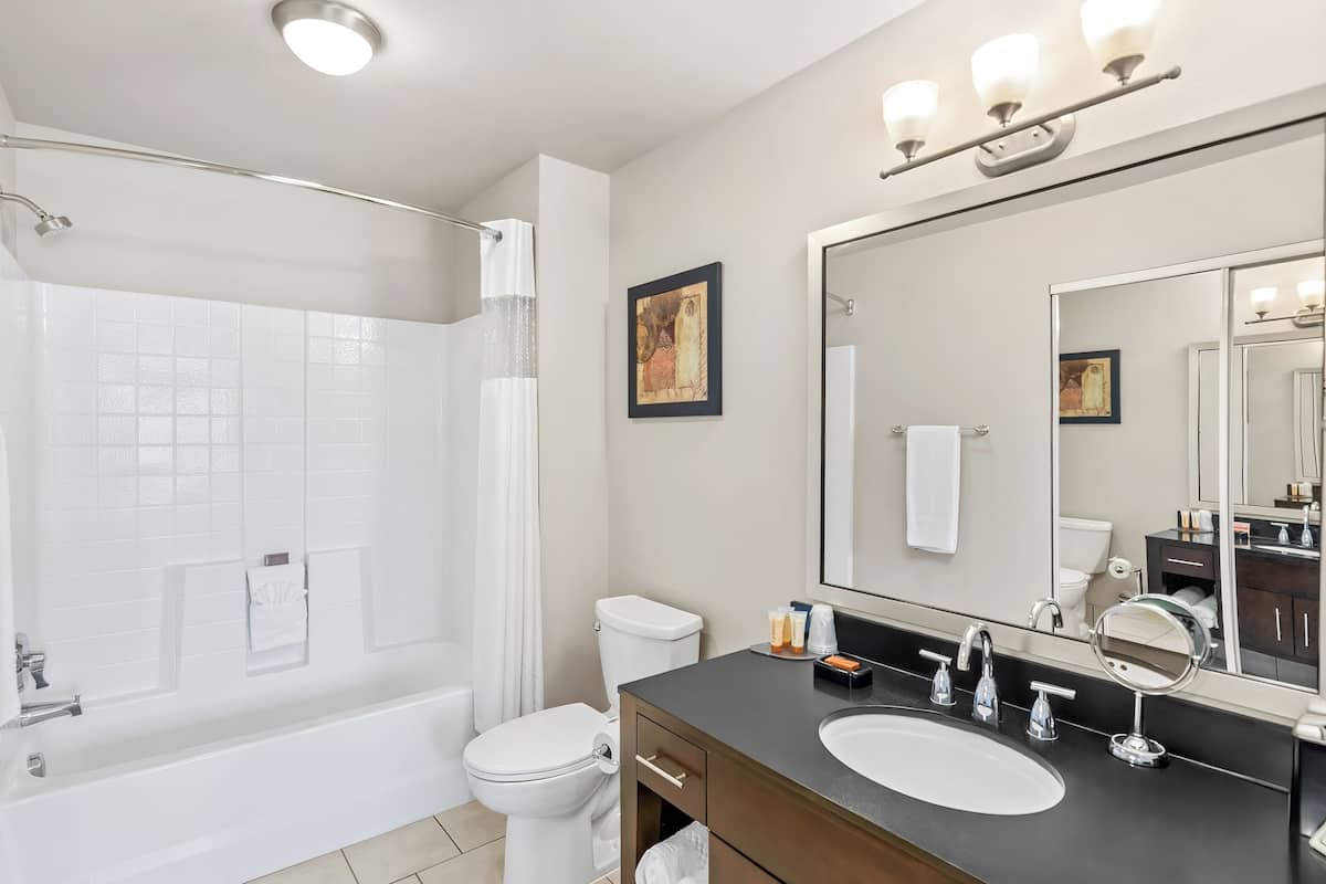 hair dryer, towels, soap, shampoo