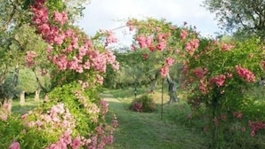 Garden - Villa Vecchia Hotel (Monte Porzio Catone)