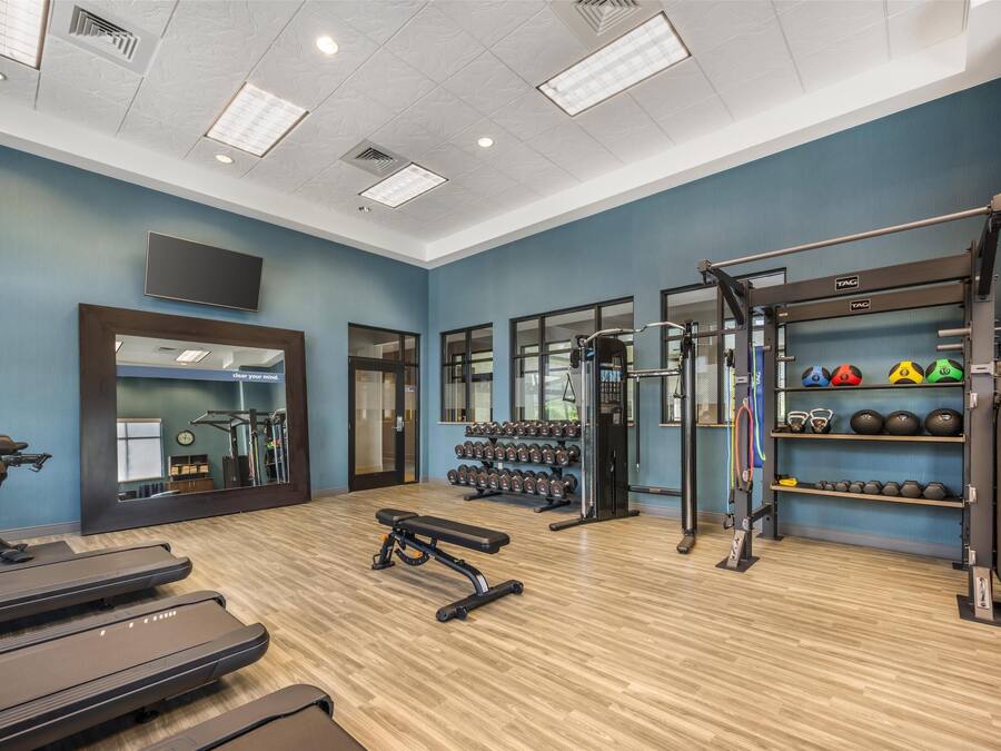 Un gimnasio equipado con cintas de correr, bancos de pesas, mancuernas y una jaula para sentadillas.