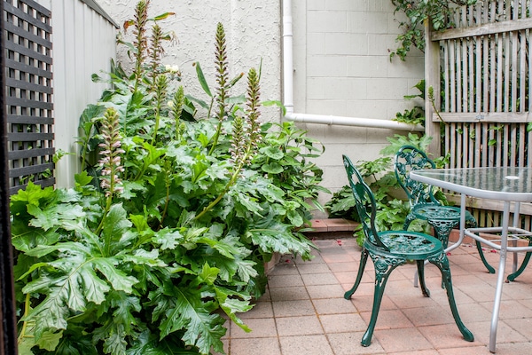 One Bedroom Downstairs Spa Unit | Terrace/patio