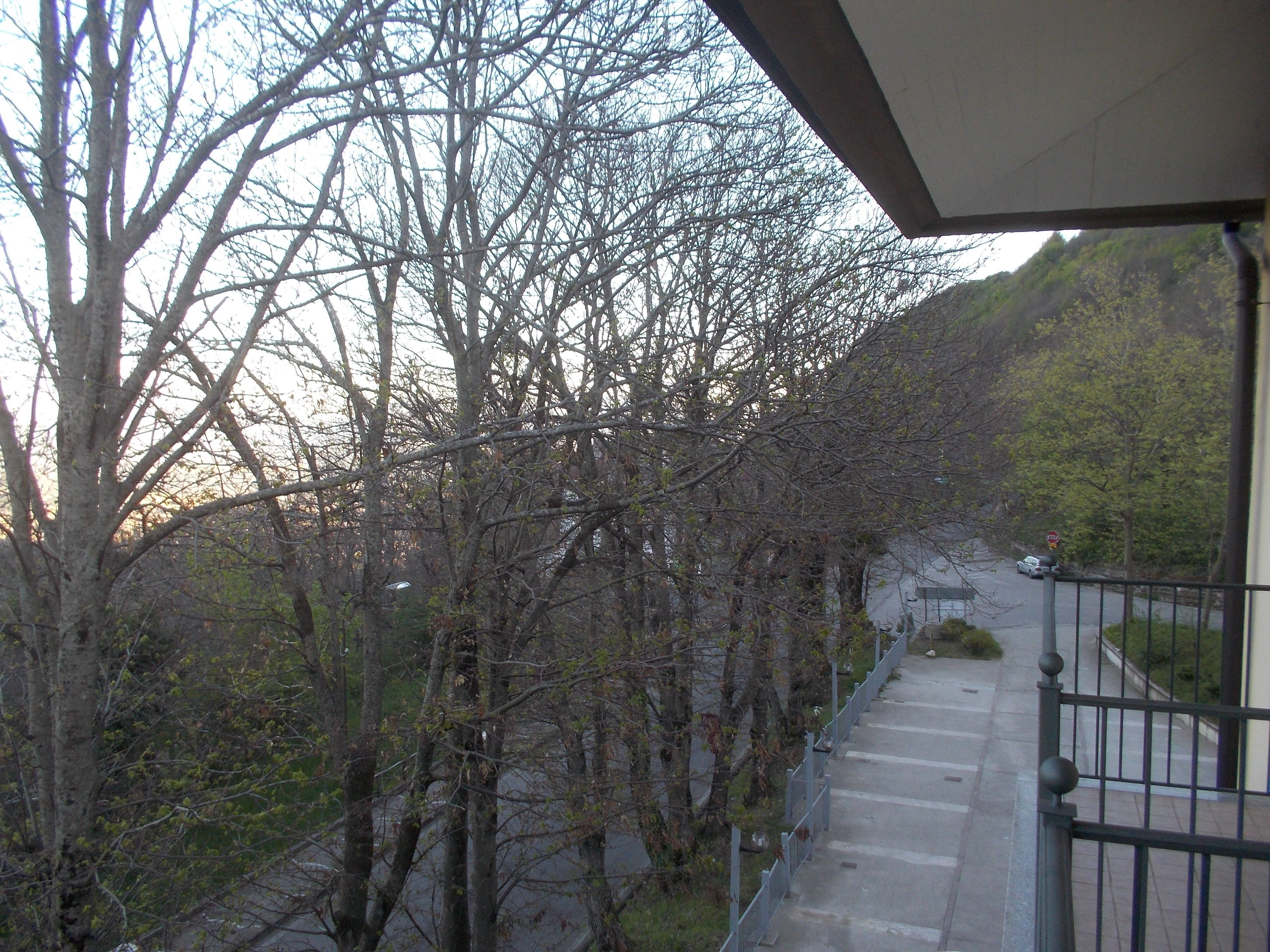 A balcony with a view of a tree-lined street and a stop sign in the distance.